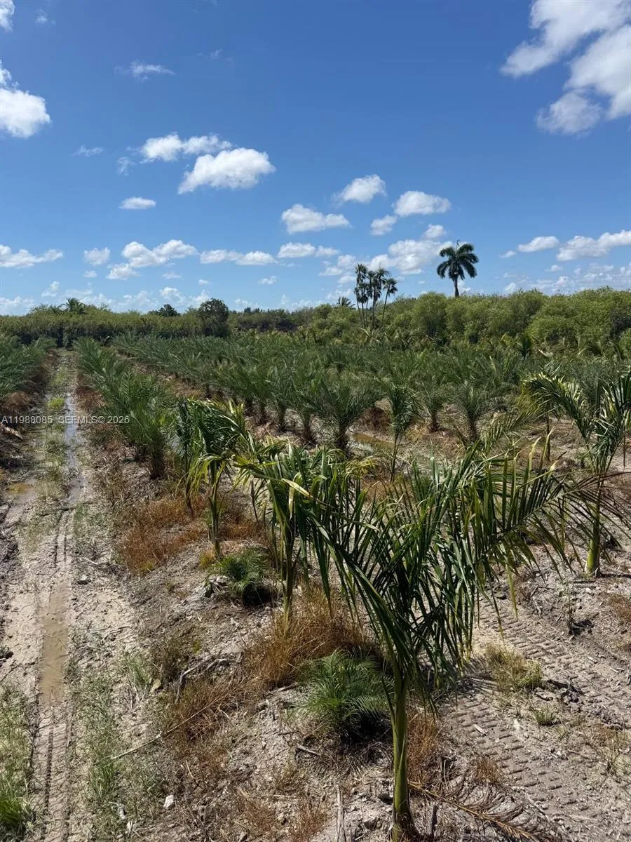 122 Ave Sw 330 St, Homestead, Florida 33035, Homestead, Florida 33035, ,Land,For Sale,122 Ave Sw 330 St, Homestead, Florida 33035,A11988085