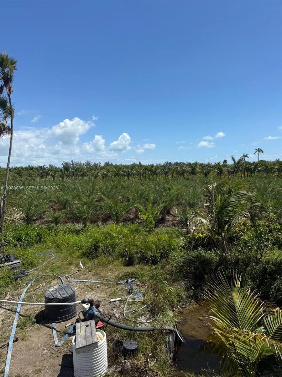 122 Ave Sw 330 St, Homestead, Florida 33035, Homestead, Florida 33035, ,Land,For Sale,122 Ave Sw 330 St, Homestead, Florida 33035,A11988085