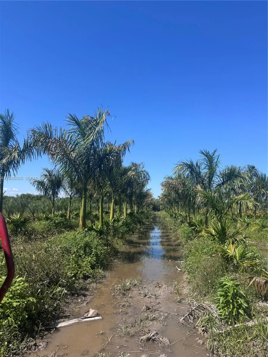 122 Ave Sw 330 St, Homestead, Florida 33035, Homestead, Florida 33035, ,Land,For Sale,122 Ave Sw 330 St, Homestead, Florida 33035,A11988085