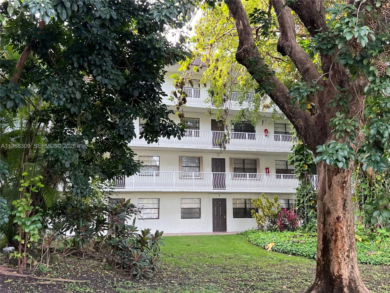 500 Ne 2nd St 316, Dania Beach, Florida 33004, Dania Beach, Florida 33004, 2 Bedrooms Bedrooms, ,2 BathroomsBathrooms,Residential Lease,For Rent,500 Ne 2nd St 316, Dania Beach, Florida 33004,A11988309