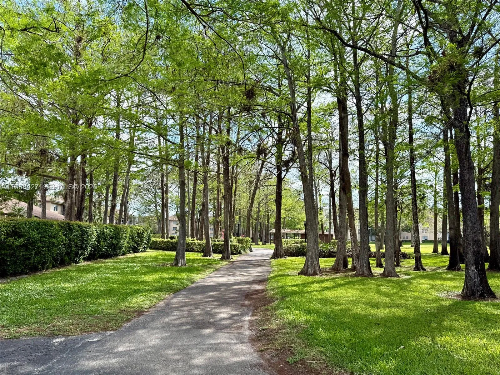 7900 Nw 50th St 205, Lauderhill, Florida 33351, Lauderhill, Florida 33351, 2 Bedrooms Bedrooms, ,2 BathroomsBathrooms,Residential Lease,For Rent,7900 Nw 50th St 205, Lauderhill, Florida 33351,A11988427