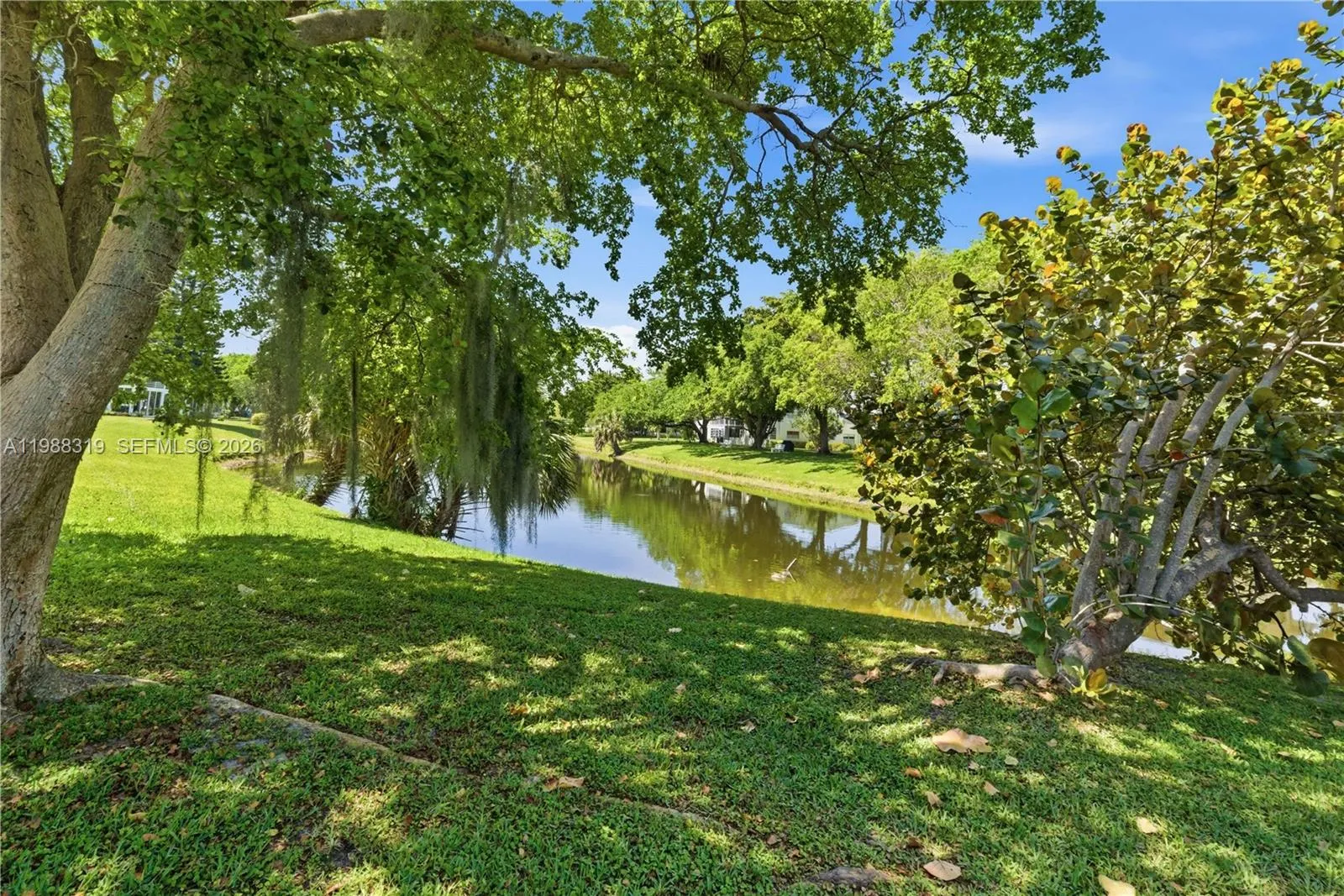 Backyard - Balcony View