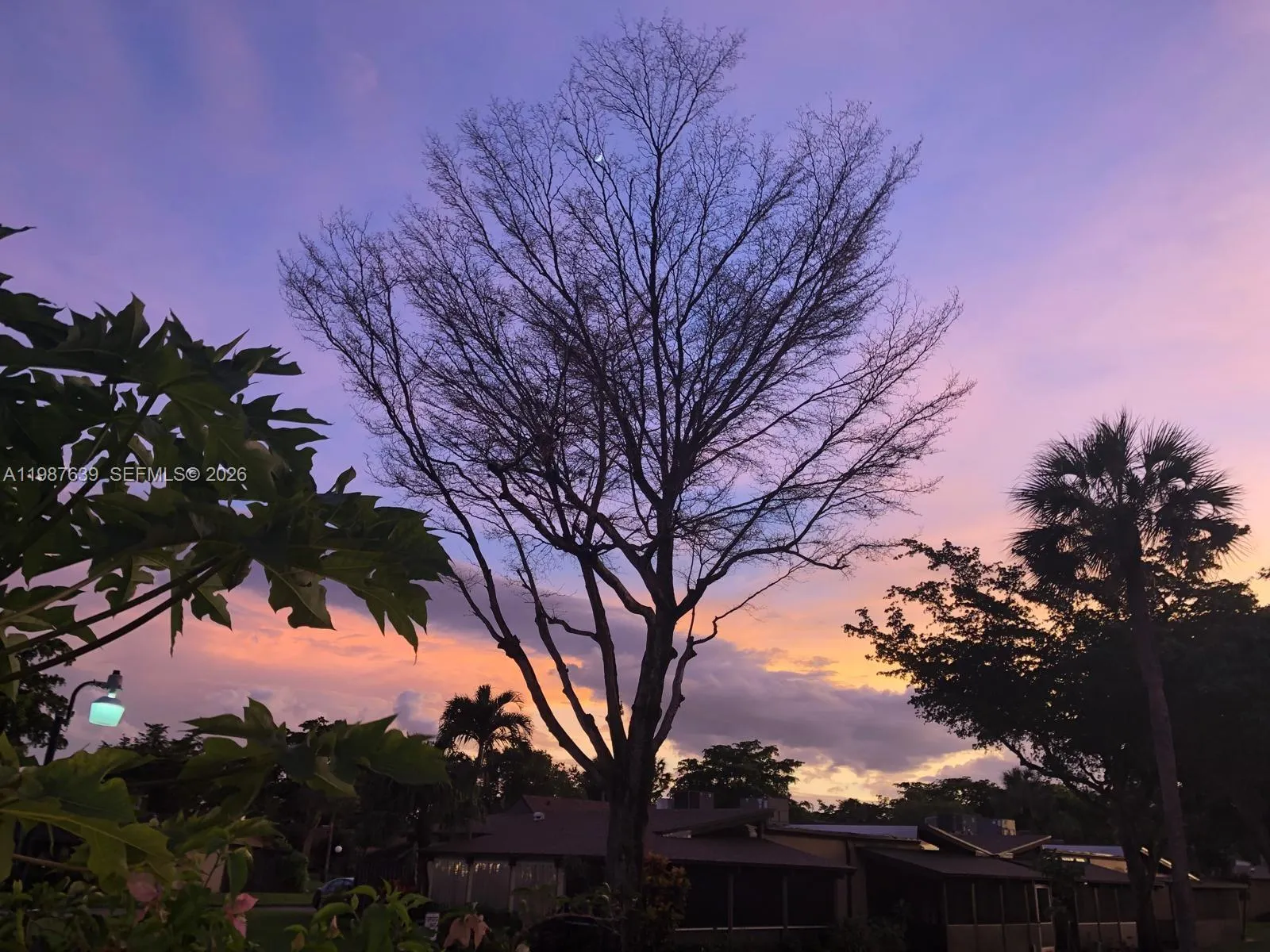 516 Briarwood Cir 1-51, Hollywood, Florida 33024, Hollywood, Florida 33024, 2 Bedrooms Bedrooms, ,2 BathroomsBathrooms,Residential Lease,For Rent,516 Briarwood Cir 1-51, Hollywood, Florida 33024,A11987639