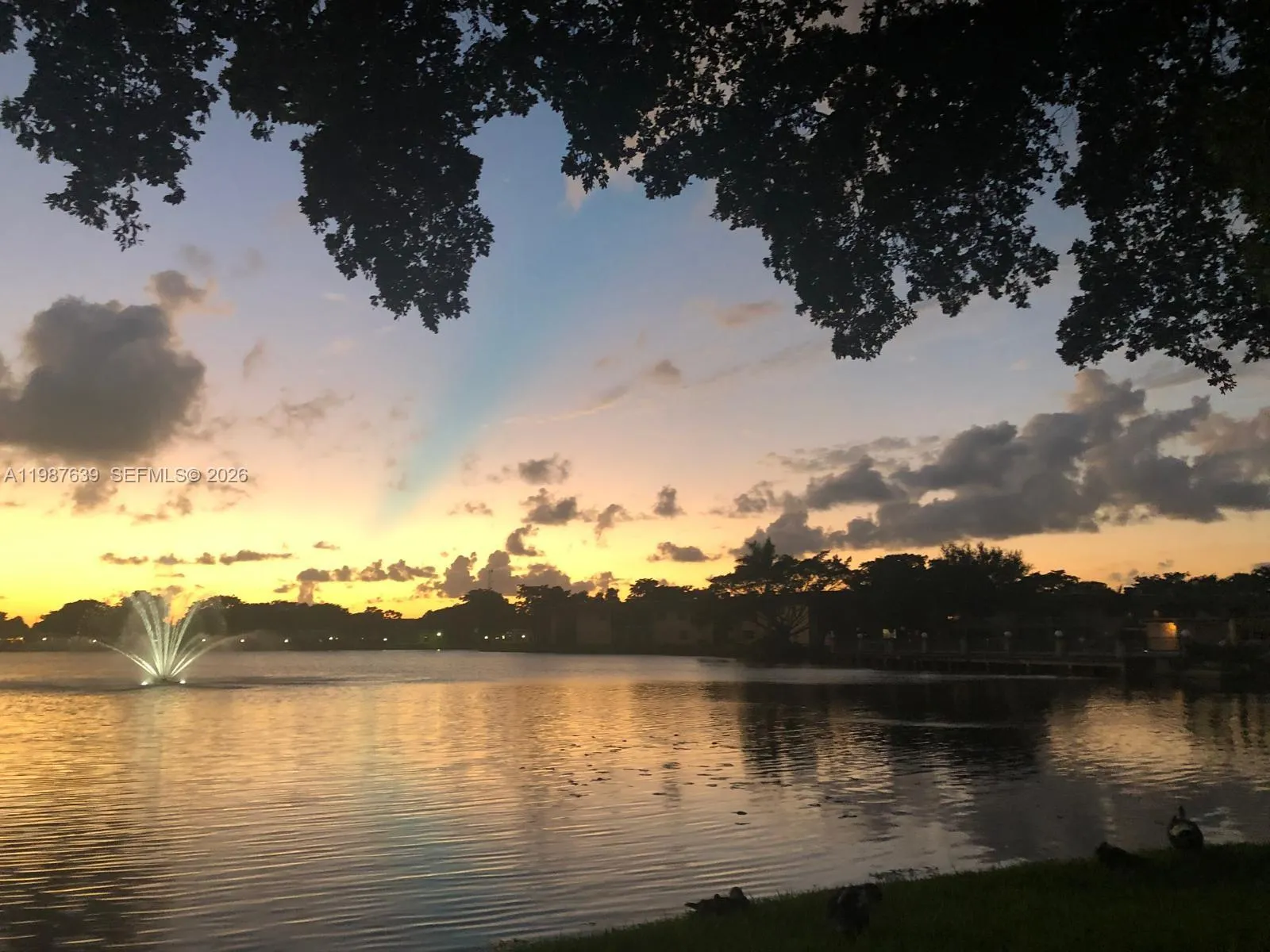 516 Briarwood Cir 1-51, Hollywood, Florida 33024, Hollywood, Florida 33024, 2 Bedrooms Bedrooms, ,2 BathroomsBathrooms,Residential Lease,For Rent,516 Briarwood Cir 1-51, Hollywood, Florida 33024,A11987639