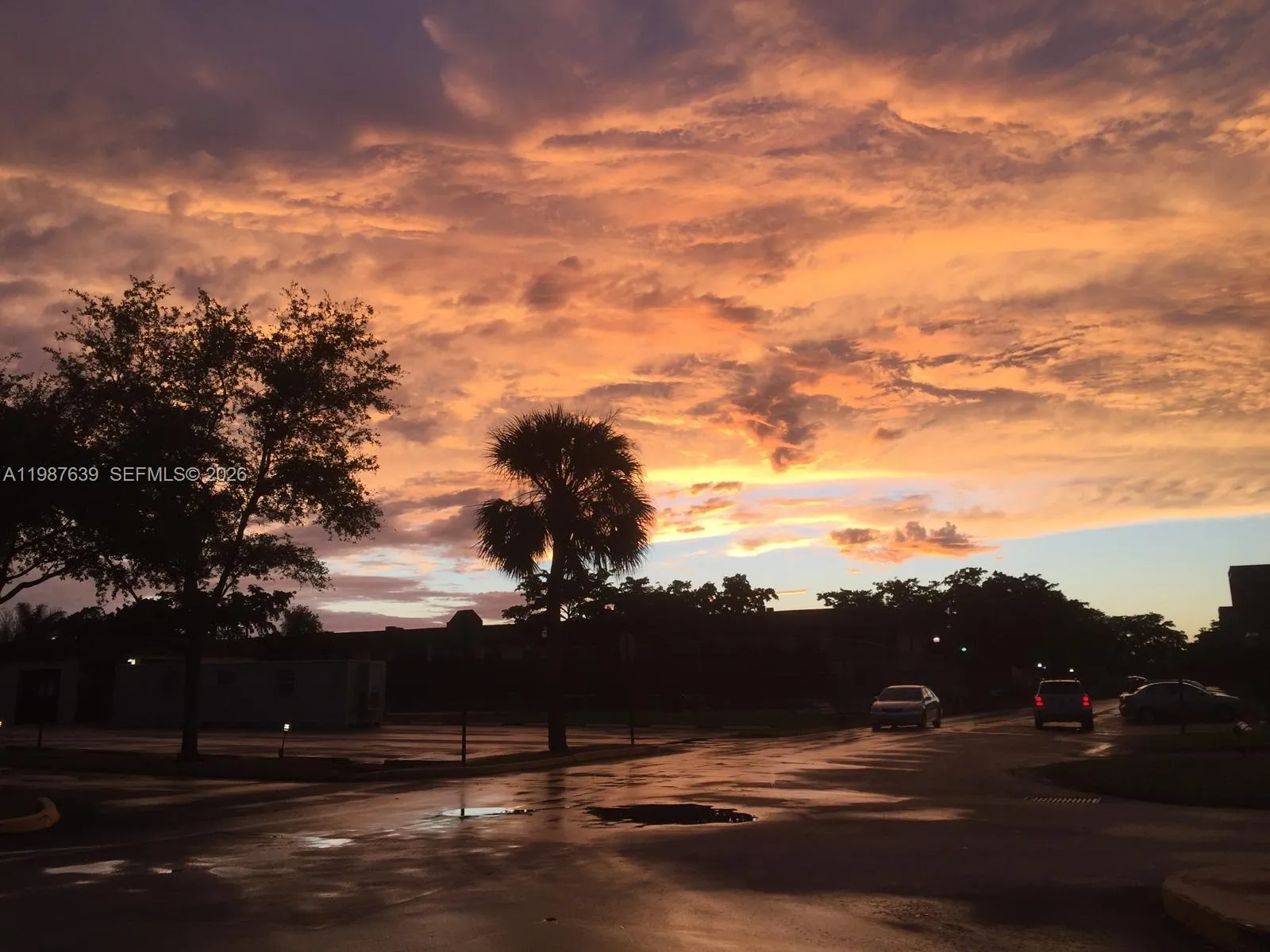 516 Briarwood Cir 1-51, Hollywood, Florida 33024, Hollywood, Florida 33024, 2 Bedrooms Bedrooms, ,2 BathroomsBathrooms,Residential Lease,For Rent,516 Briarwood Cir 1-51, Hollywood, Florida 33024,A11987639