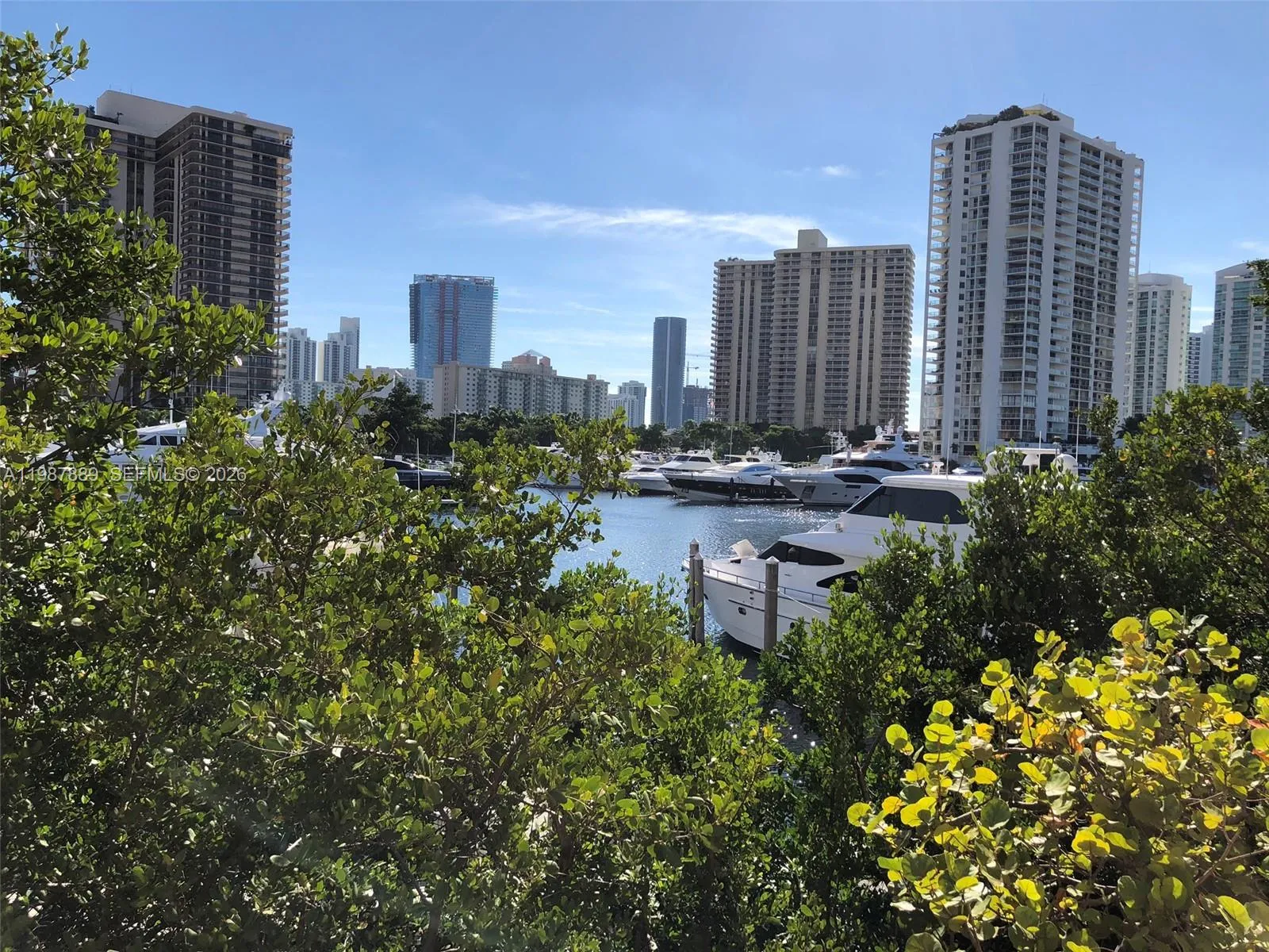 19901 E Country Club Dr 2206, Aventura, Florida 33, Aventura, Florida 33180, 1 Bedroom Bedrooms, ,1 BathroomBathrooms,Residential Lease,For Rent,19901 E Country Club Dr 2206, Aventura, Florida 33,A11987889
