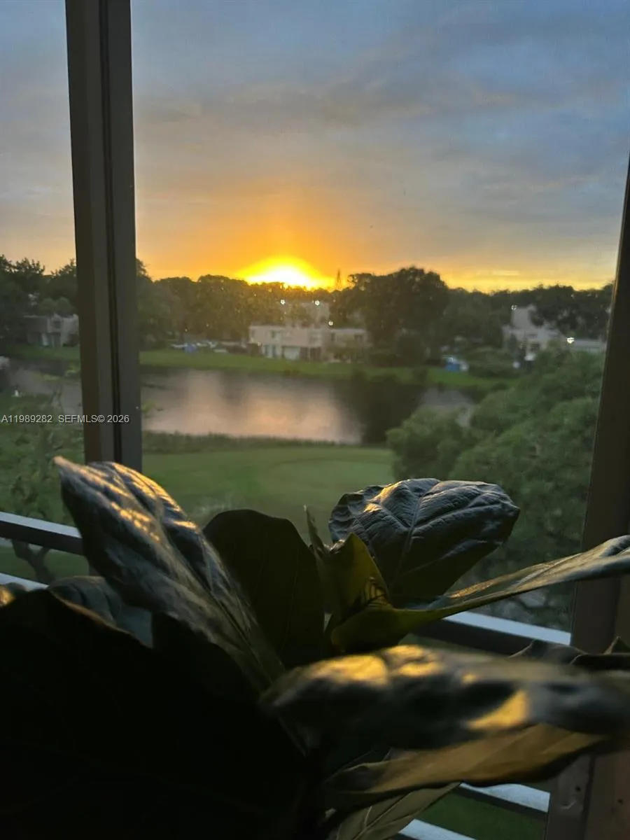 1811 Sabal Palm Dr 406, Davie, Florida 33324, Davie, Florida 33324, 3 Bedrooms Bedrooms, ,2 BathroomsBathrooms,Residential Lease,For Rent,1811 Sabal Palm Dr 406, Davie, Florida 33324,A11989282 1811 Sabal Palm Dr 406, Davie, Florida 33324, Davie, Florida 33324, 3 Bedrooms Bedrooms, ,2 BathroomsBathrooms,Residential Lease,For Rent,1811 Sabal Palm Dr 406, Davie, Florida 33324,A11989282