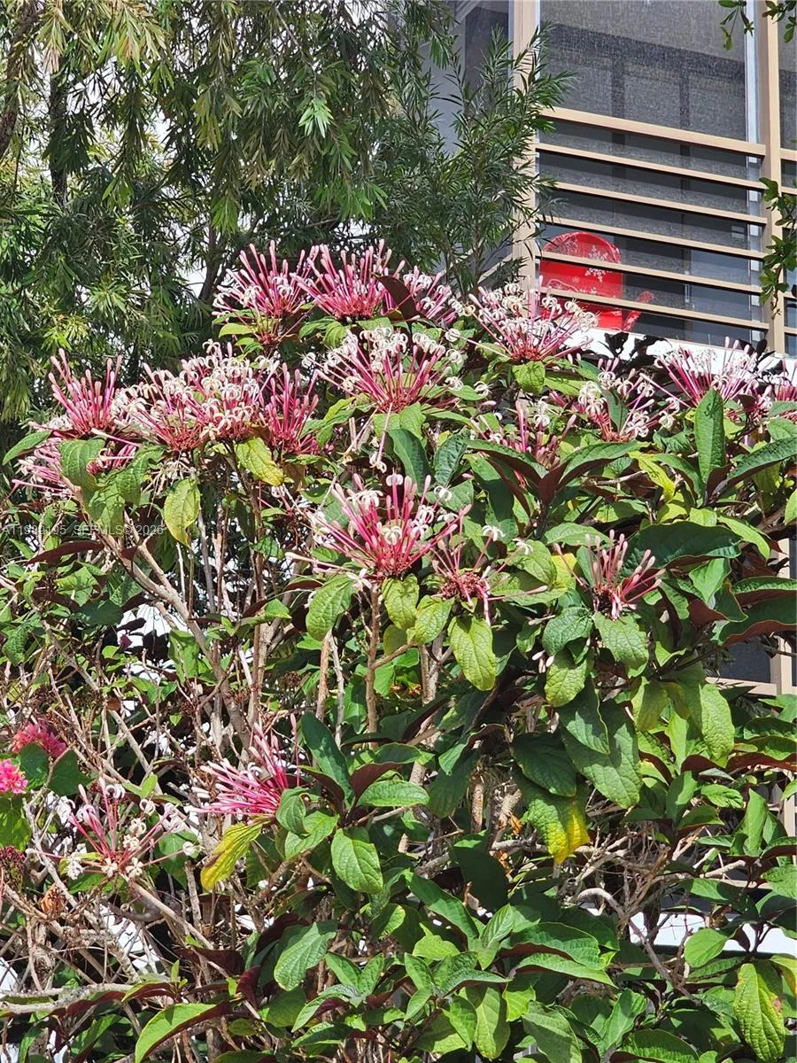 20400 W Country Club Dr 601, Aventura, Florida 331, Aventura, Florida 33180, 2 Bedrooms Bedrooms, ,2 BathroomsBathrooms,Residential,For Sale,20400 W Country Club Dr 601, Aventura, Florida 331,A11989195