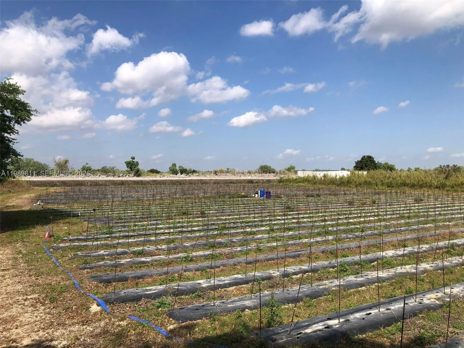 19550 Sw 207 Ave, Miami, Florida 33187, Miami, Florida 33187, ,Land,For Sale,19550 Sw 207 Ave, Miami, Florida 33187,A11989811