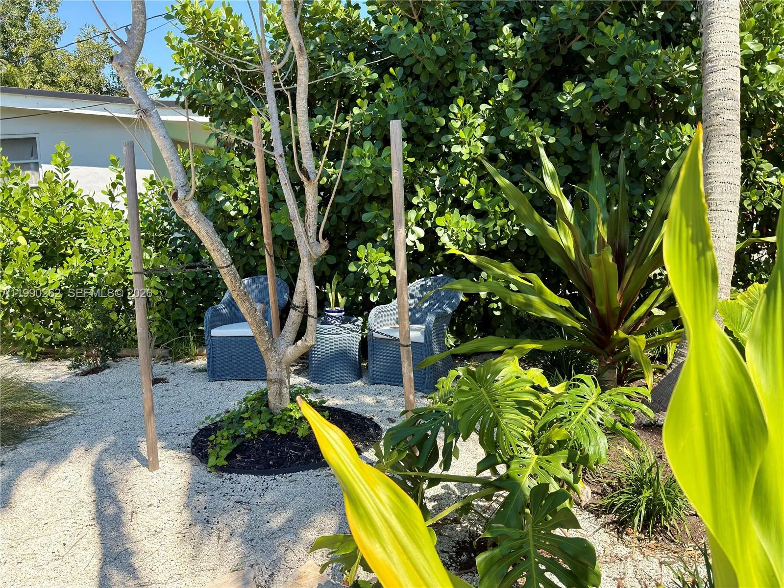 6561 Sw 34th St, Miami, Florida 33155, Miami, Florida 33155, 2 Bedrooms Bedrooms, ,1 BathroomBathrooms,Residential,For Sale,6561 Sw 34th St, Miami, Florida 33155,A11990262