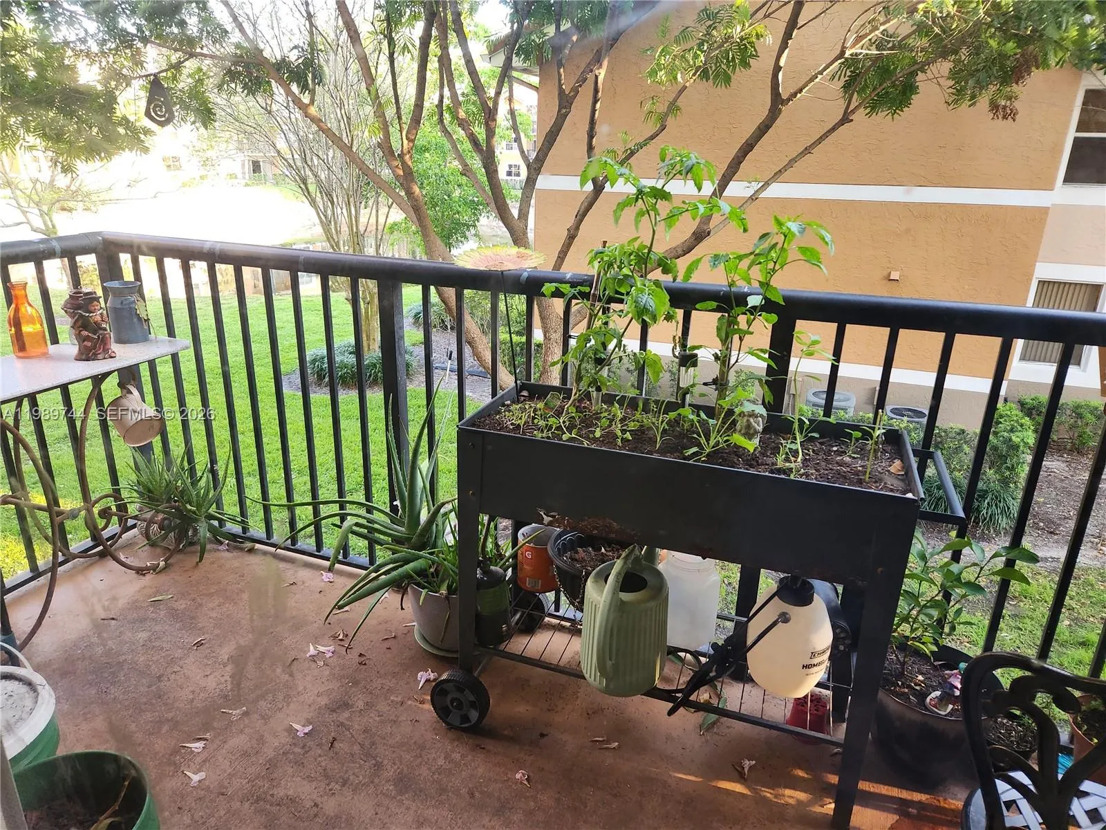 8761 Wiles Rd 206, Coral Springs, Florida 33067, Coral Springs, Florida 33067, 3 Bedrooms Bedrooms, ,2 BathroomsBathrooms,Residential,For Sale,8761 Wiles Rd 206, Coral Springs, Florida 33067,A11989744