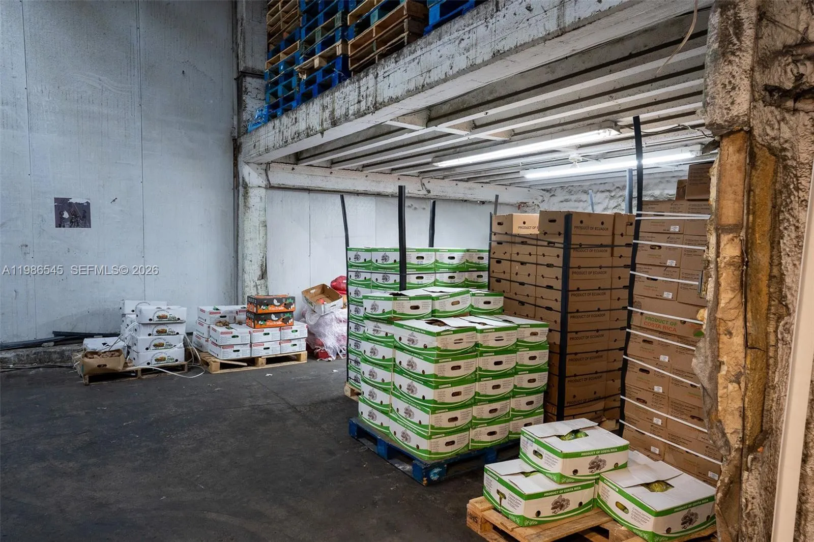 1217 Nw 21st Street, Miami, Florida 33142, Miami, Florida 33142, ,Commercial Lease,For Rent,1217 Nw 21st Street, Miami, Florida 33142,A11986545