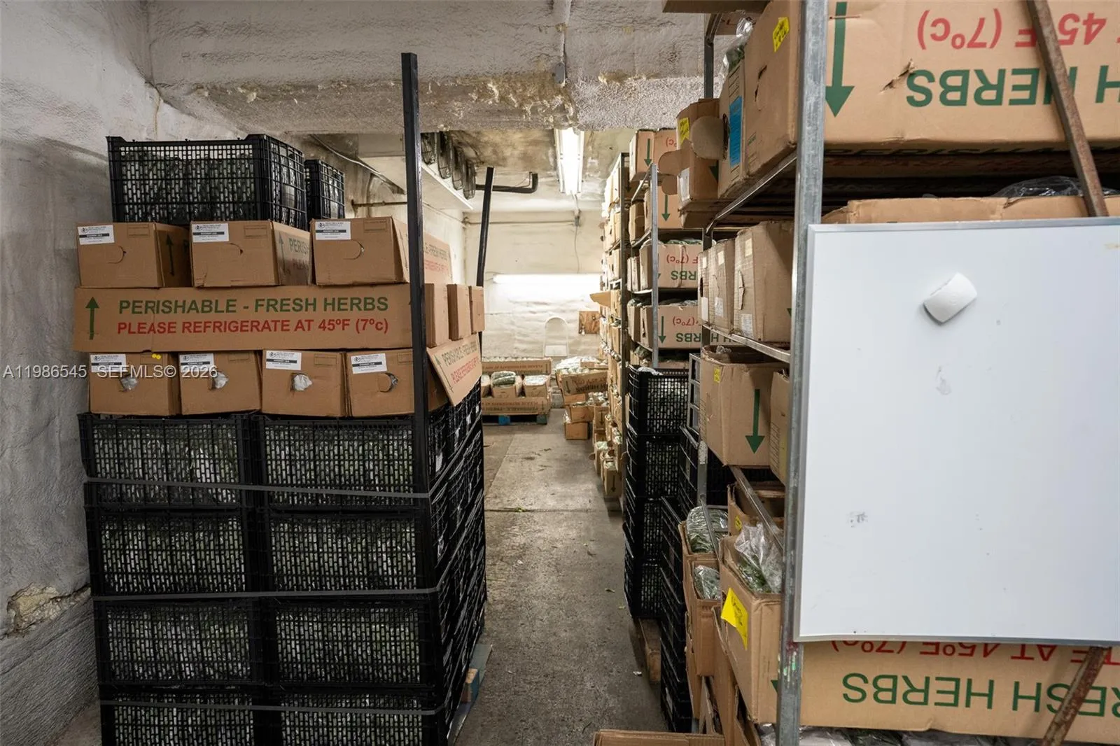 1217 Nw 21st Street, Miami, Florida 33142, Miami, Florida 33142, ,Commercial Lease,For Rent,1217 Nw 21st Street, Miami, Florida 33142,A11986545