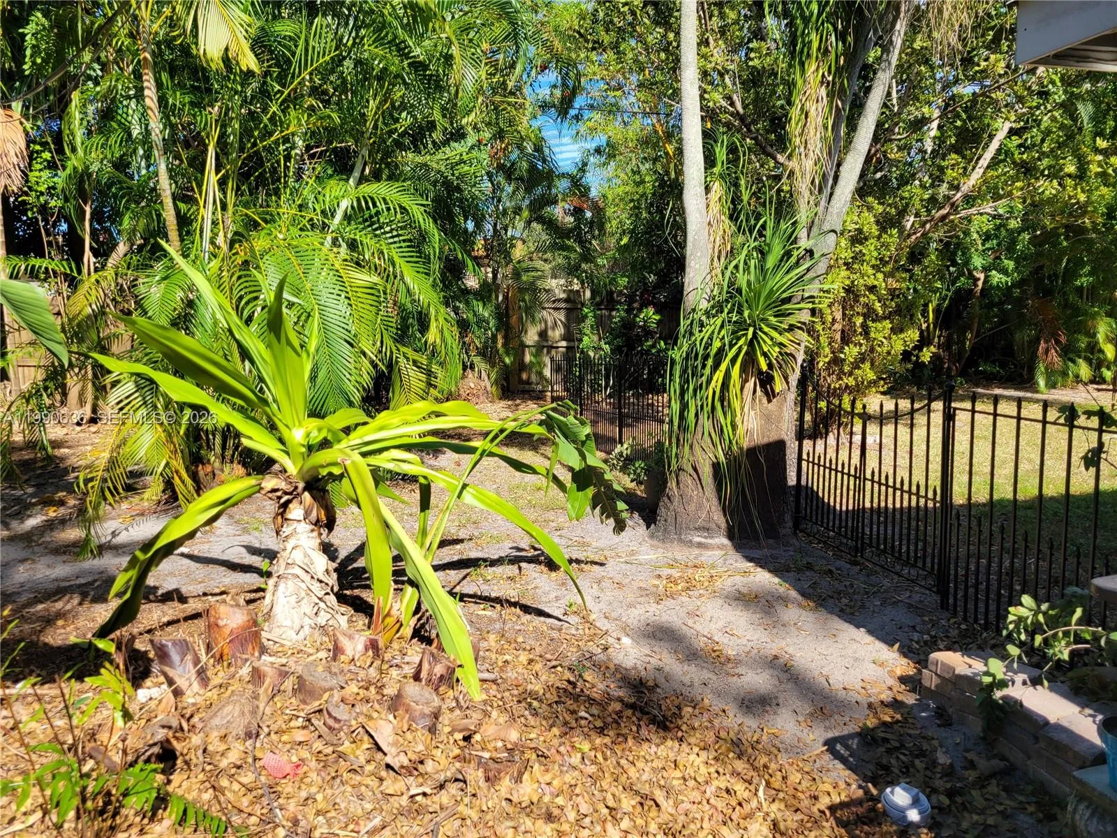 125 Nw 25th St 129, Wilton Manors, Florida 33311, Wilton Manors, Florida 33311, 1 Bedroom Bedrooms, ,1 BathroomBathrooms,Residential Lease,For Rent,125 Nw 25th St 129, Wilton Manors, Florida 33311,A11990636