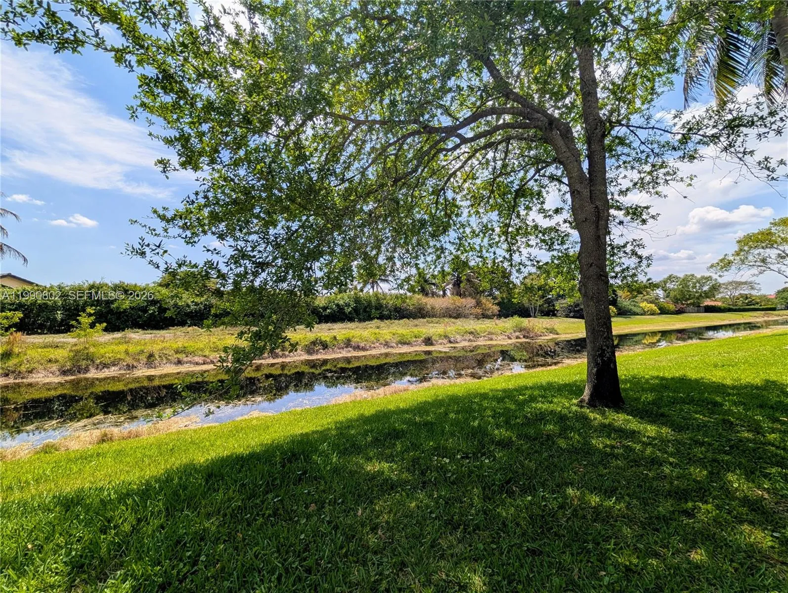 11394 Royal Palm Blvd 11394, Coral Springs, Florid, Coral Springs, Florida 33065, 2 Bedrooms Bedrooms, ,1 BathroomBathrooms,Residential Lease,For Rent,11394 Royal Palm Blvd 11394, Coral Springs, Florid,A11990802