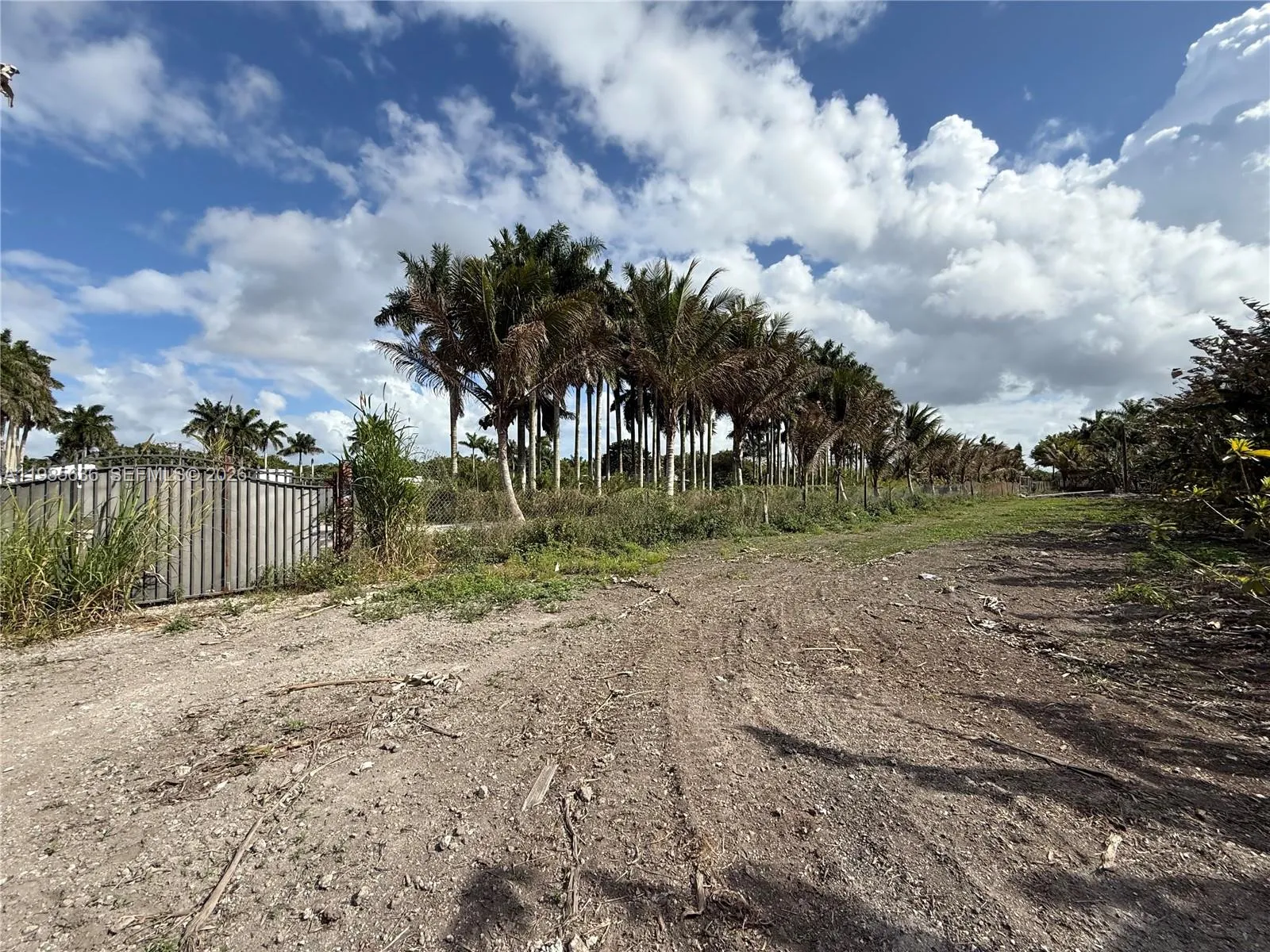 16455 Sw 207, Miami, Florida 33187, Miami, Florida 33187, ,Land,For Sale,16455 Sw 207, Miami, Florida 33187,A11985636
