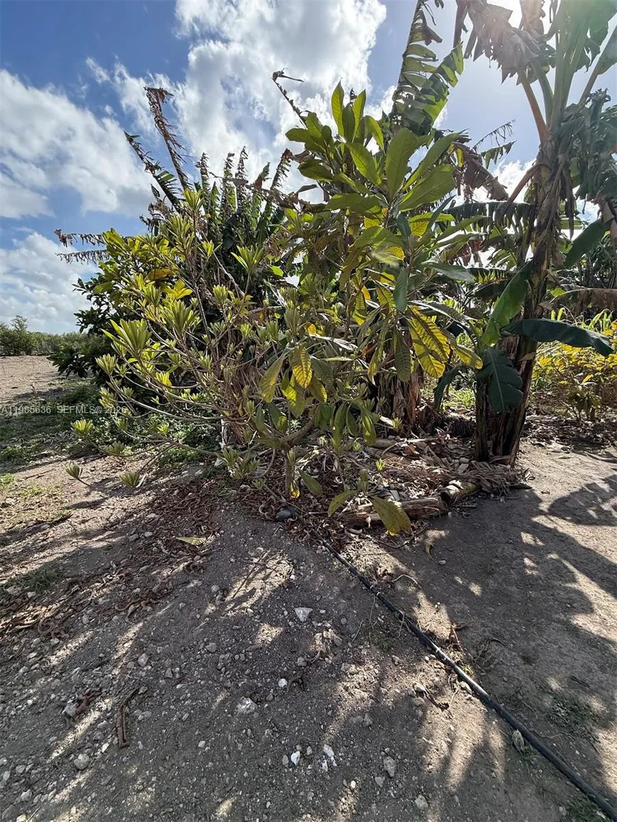 16455 Sw 207, Miami, Florida 33187, Miami, Florida 33187, ,Land,For Sale,16455 Sw 207, Miami, Florida 33187,A11985636