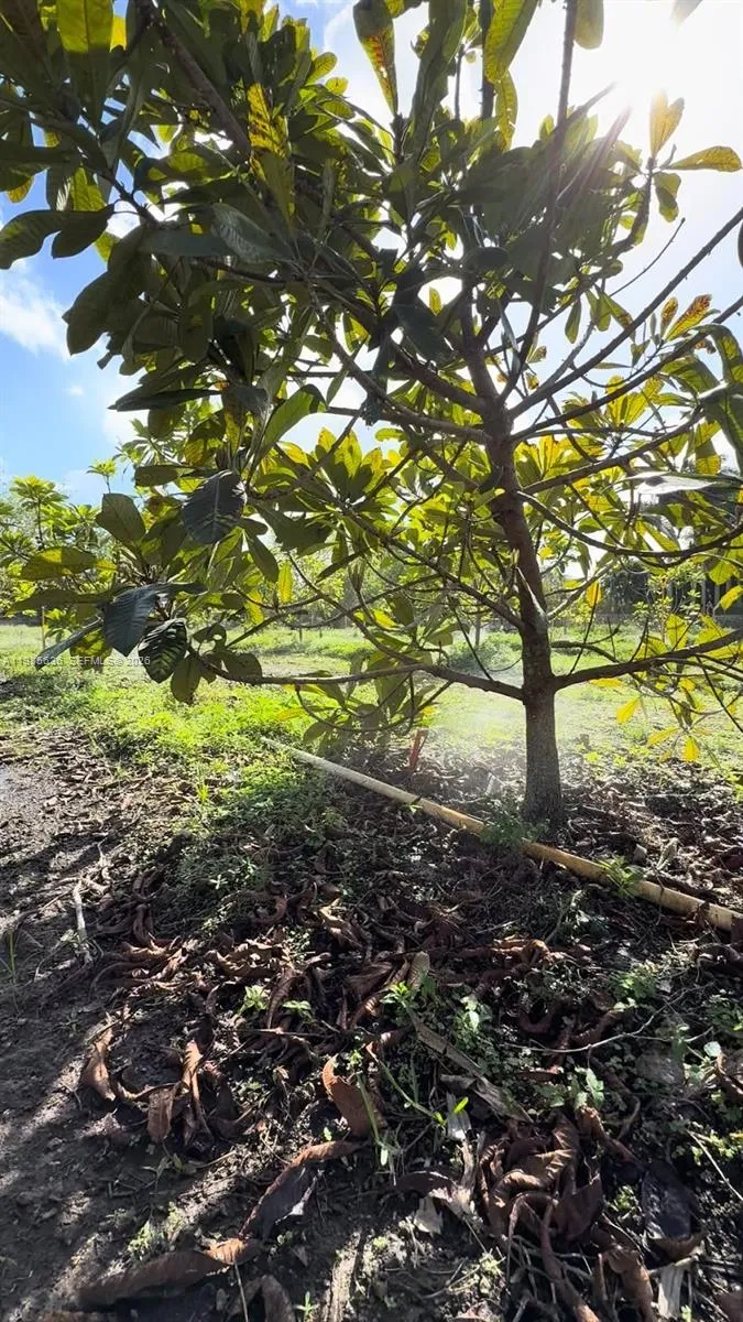 16455 Sw 207, Miami, Florida 33187, Miami, Florida 33187, ,Land,For Sale,16455 Sw 207, Miami, Florida 33187,A11985636