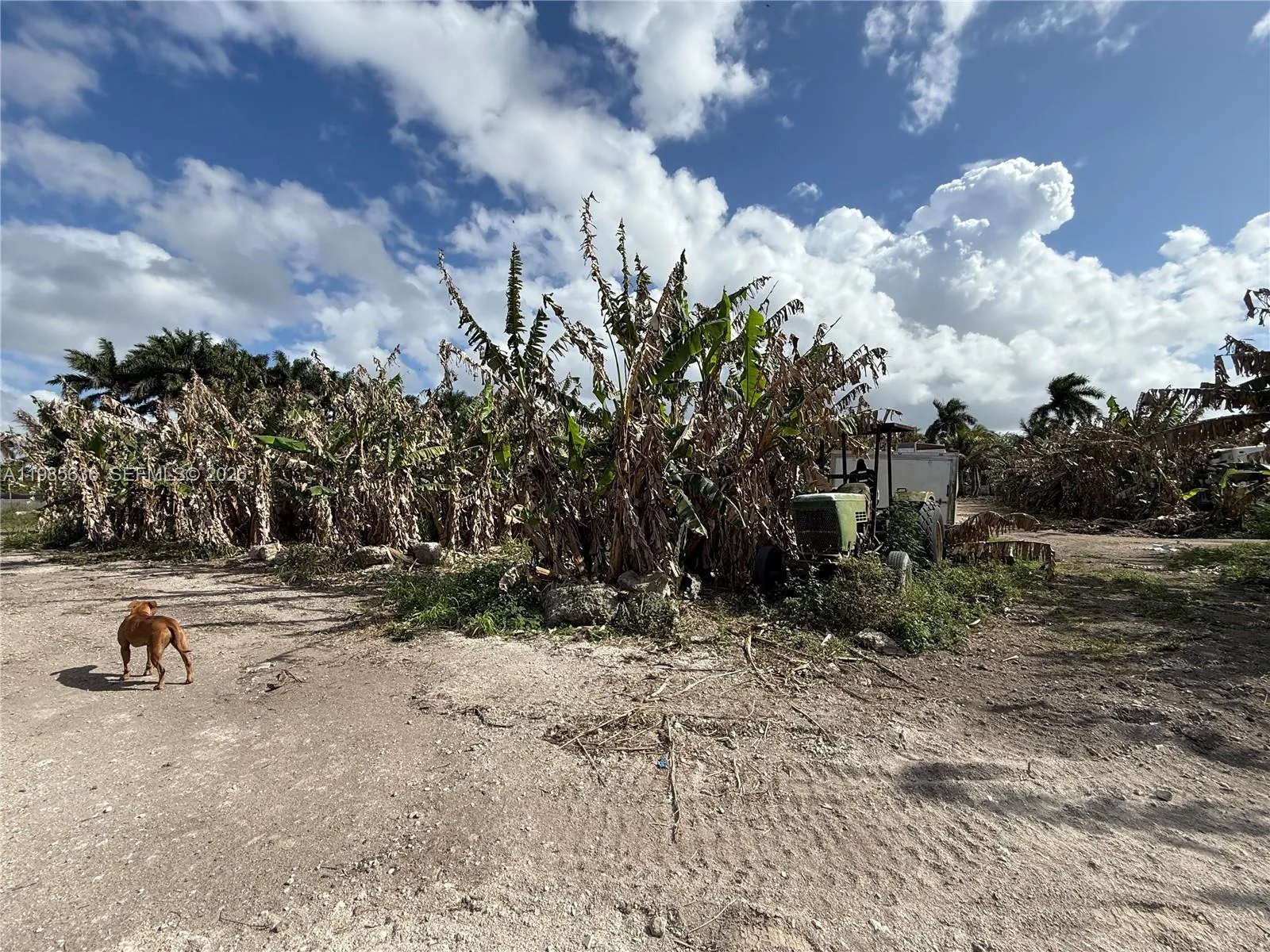 16455 Sw 207, Miami, Florida 33187, Miami, Florida 33187, ,Land,For Sale,16455 Sw 207, Miami, Florida 33187,A11985636