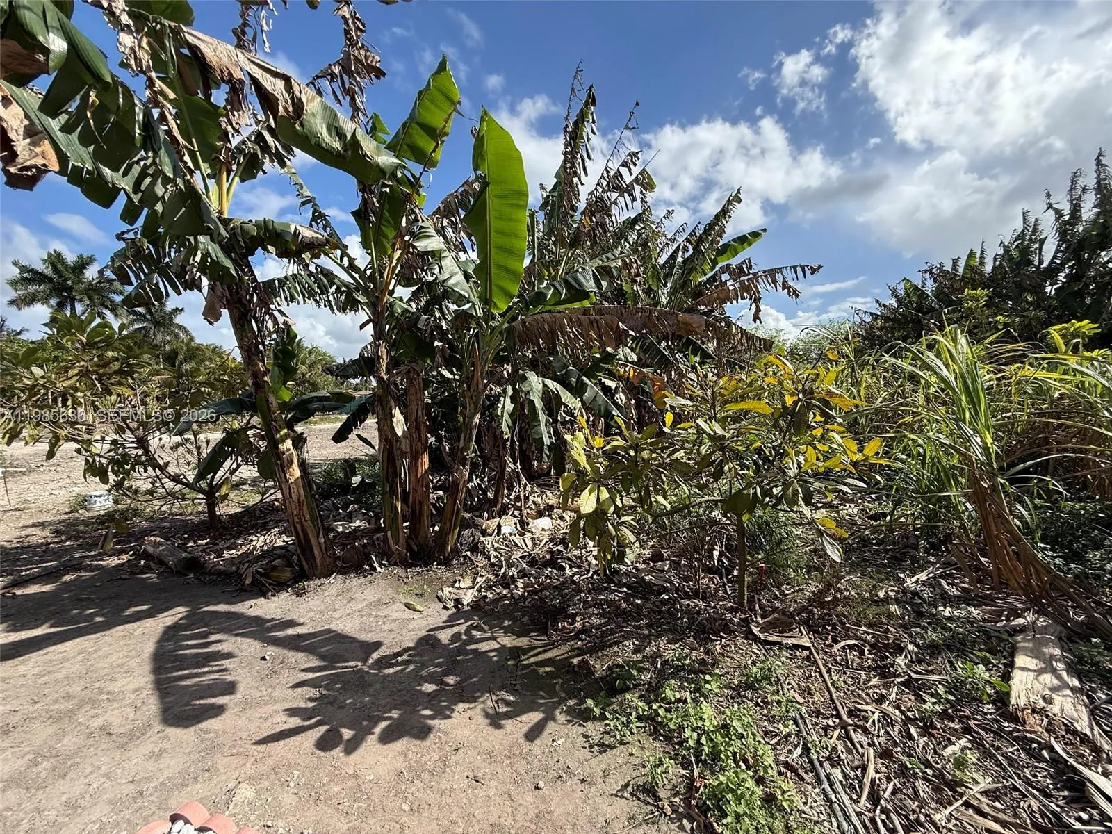 16455 Sw 207, Miami, Florida 33187, Miami, Florida 33187, ,Land,For Sale,16455 Sw 207, Miami, Florida 33187,A11985636