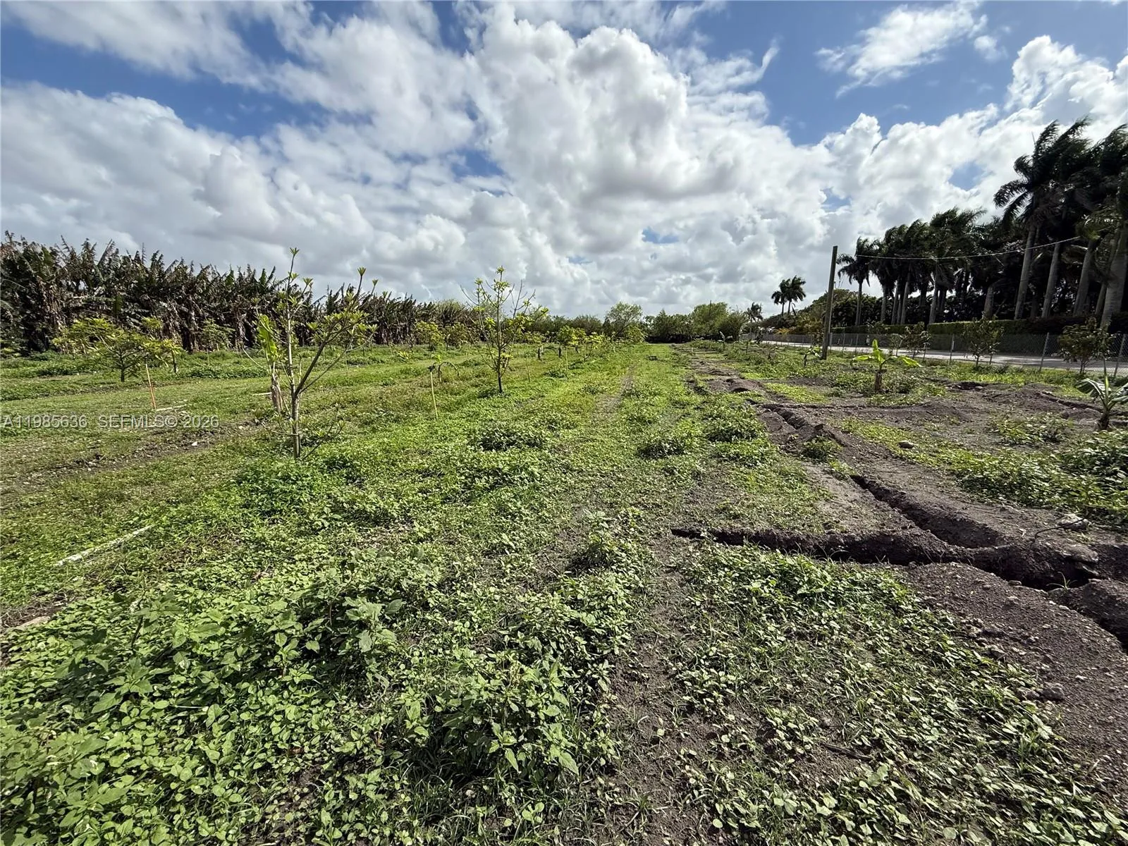 16455 Sw 207, Miami, Florida 33187, Miami, Florida 33187, ,Land,For Sale,16455 Sw 207, Miami, Florida 33187,A11985636