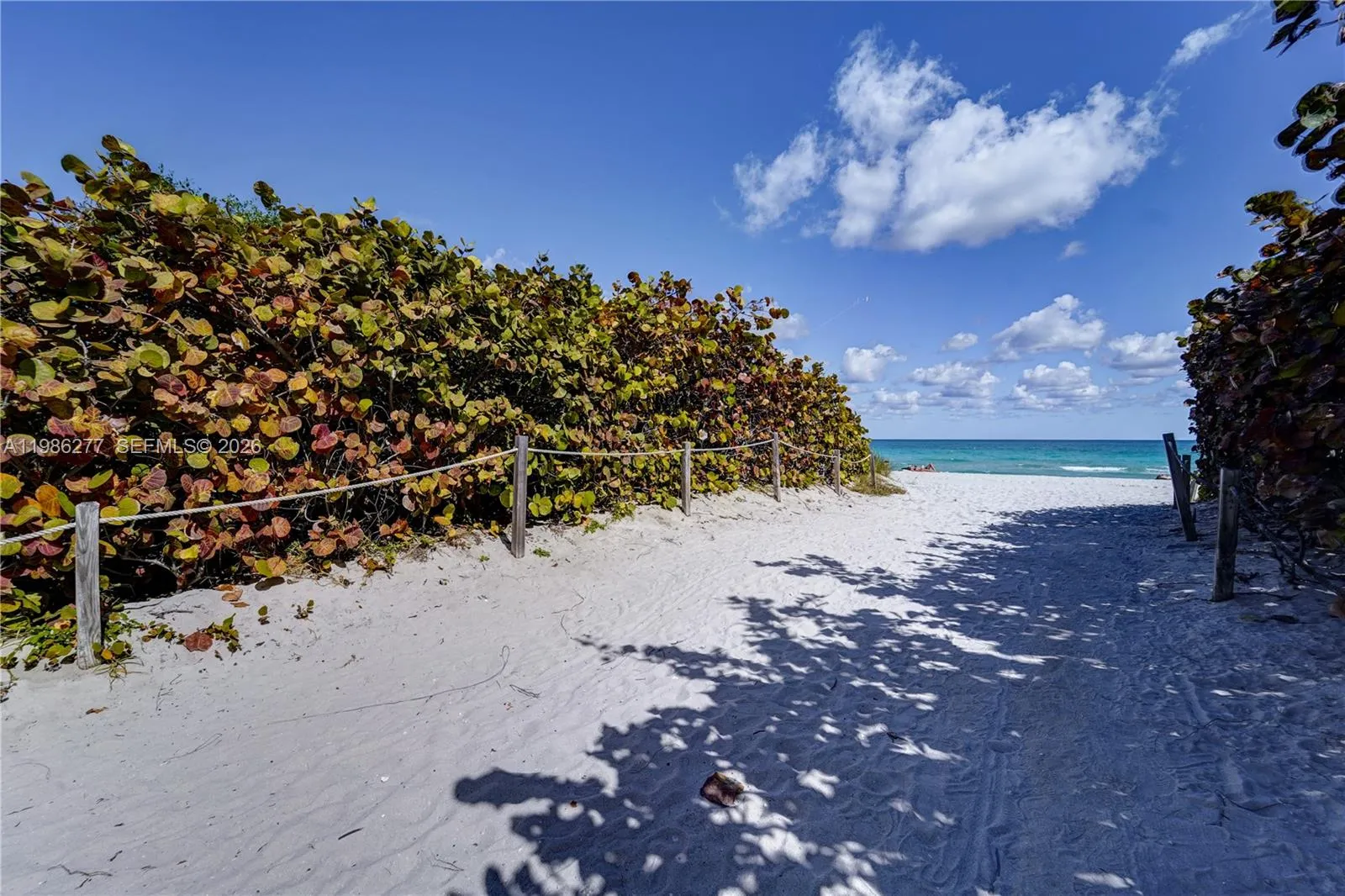 6450 Collins Ave 903, Miami Beach, Florida 33141, Miami Beach, Florida 33141, 1 Bedroom Bedrooms, ,1 BathroomBathrooms,Residential,For Sale,6450 Collins Ave 903, Miami Beach, Florida 33141,A11986277
