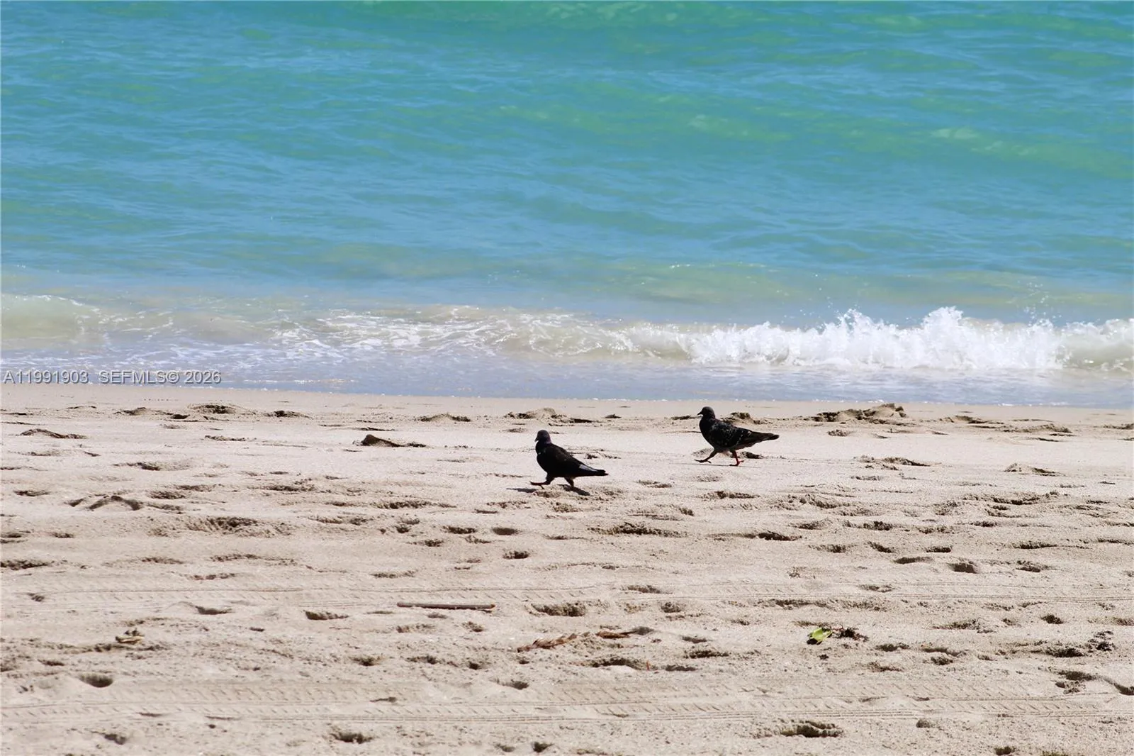 2030 S Ocean Dr 821, Hallandale Beach, Florida 330, Hallandale Beach, Florida 33009, 2 Bedrooms Bedrooms, ,2 BathroomsBathrooms,Residential Lease,For Rent,2030 S Ocean Dr 821, Hallandale Beach, Florida 330,A11991903