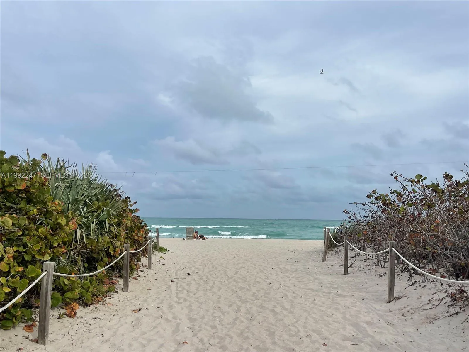 8036 Harding Ave 3, Miami Beach, Florida 33141, Miami Beach, Florida 33141, 1 Bedroom Bedrooms, ,1 BathroomBathrooms,Residential Lease,For Rent,8036 Harding Ave 3, Miami Beach, Florida 33141,A11992247