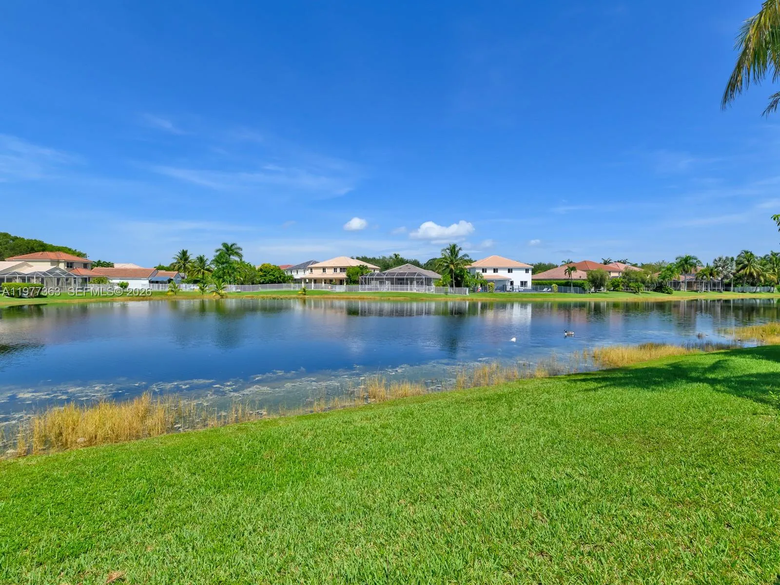 4400 Fox Ridge Dr, Weston, Florida 33331, Weston, Florida 33331, 5 Bedrooms Bedrooms, ,4 BathroomsBathrooms,Residential,For Sale,4400 Fox Ridge Dr, Weston, Florida 33331,A11977363