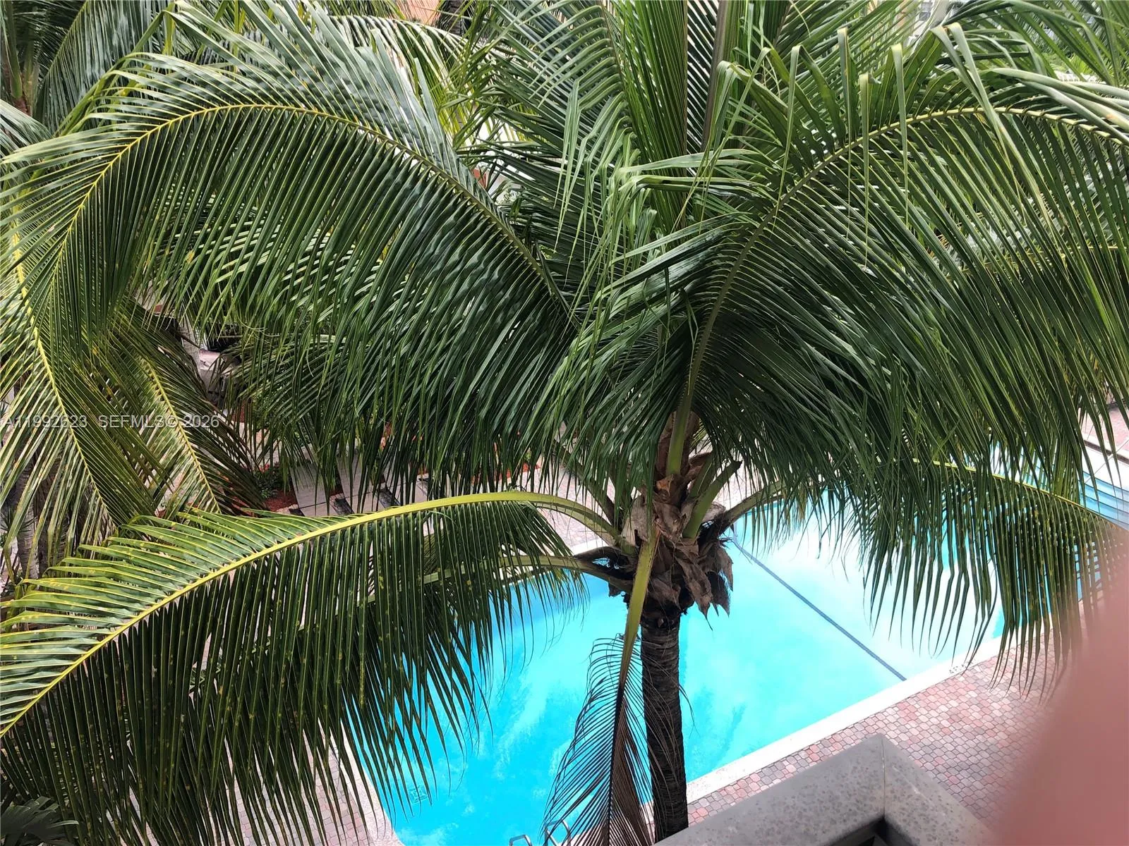 1900 Van Buren St 411b, Hollywood, Florida 33020, Hollywood, Florida 33020, 1 Bedroom Bedrooms, ,1 BathroomBathrooms,Residential,For Sale,1900 Van Buren St 411b, Hollywood, Florida 33020,A11992623