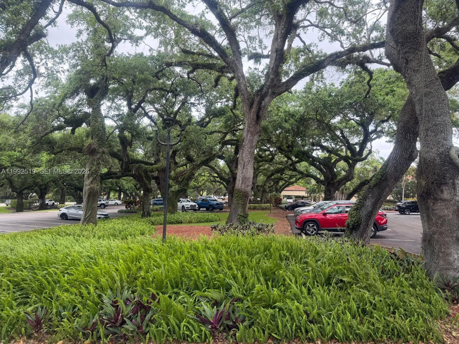 1709 Whitehall Dr 103, Davie, Florida 33324, Davie, Florida 33324, 2 Bedrooms Bedrooms, ,2 BathroomsBathrooms,Residential,For Sale,1709 Whitehall Dr 103, Davie, Florida 33324,A11992519