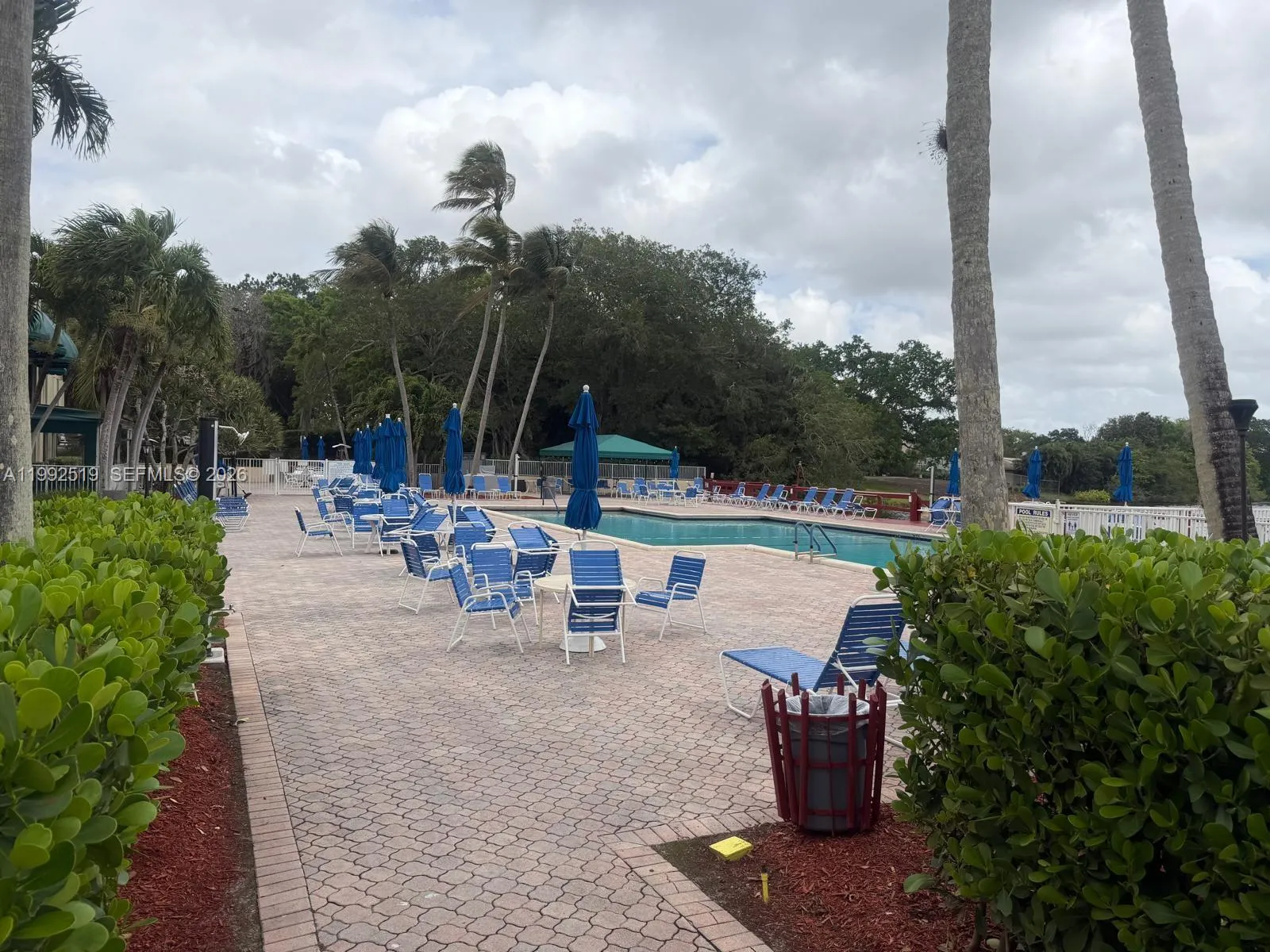 1709 Whitehall Dr 103, Davie, Florida 33324, Davie, Florida 33324, 2 Bedrooms Bedrooms, ,2 BathroomsBathrooms,Residential,For Sale,1709 Whitehall Dr 103, Davie, Florida 33324,A11992519