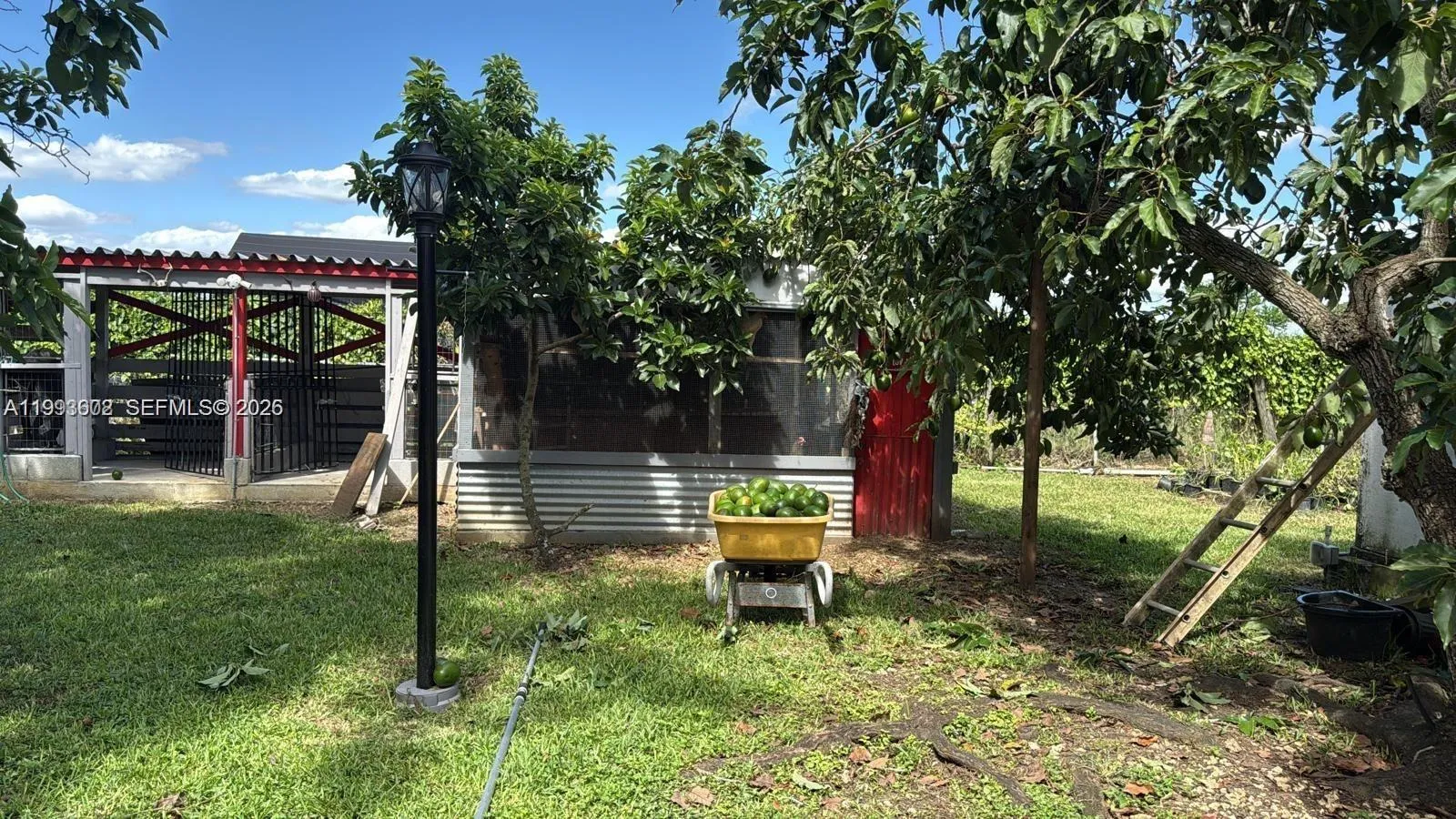 18441 Sw 238th St, Homestead, Florida 33031, Homestead, Florida 33031, 3 Bedrooms Bedrooms, ,2 BathroomsBathrooms,Residential Lease,For Rent,18441 Sw 238th St, Homestead, Florida 33031,A11993602