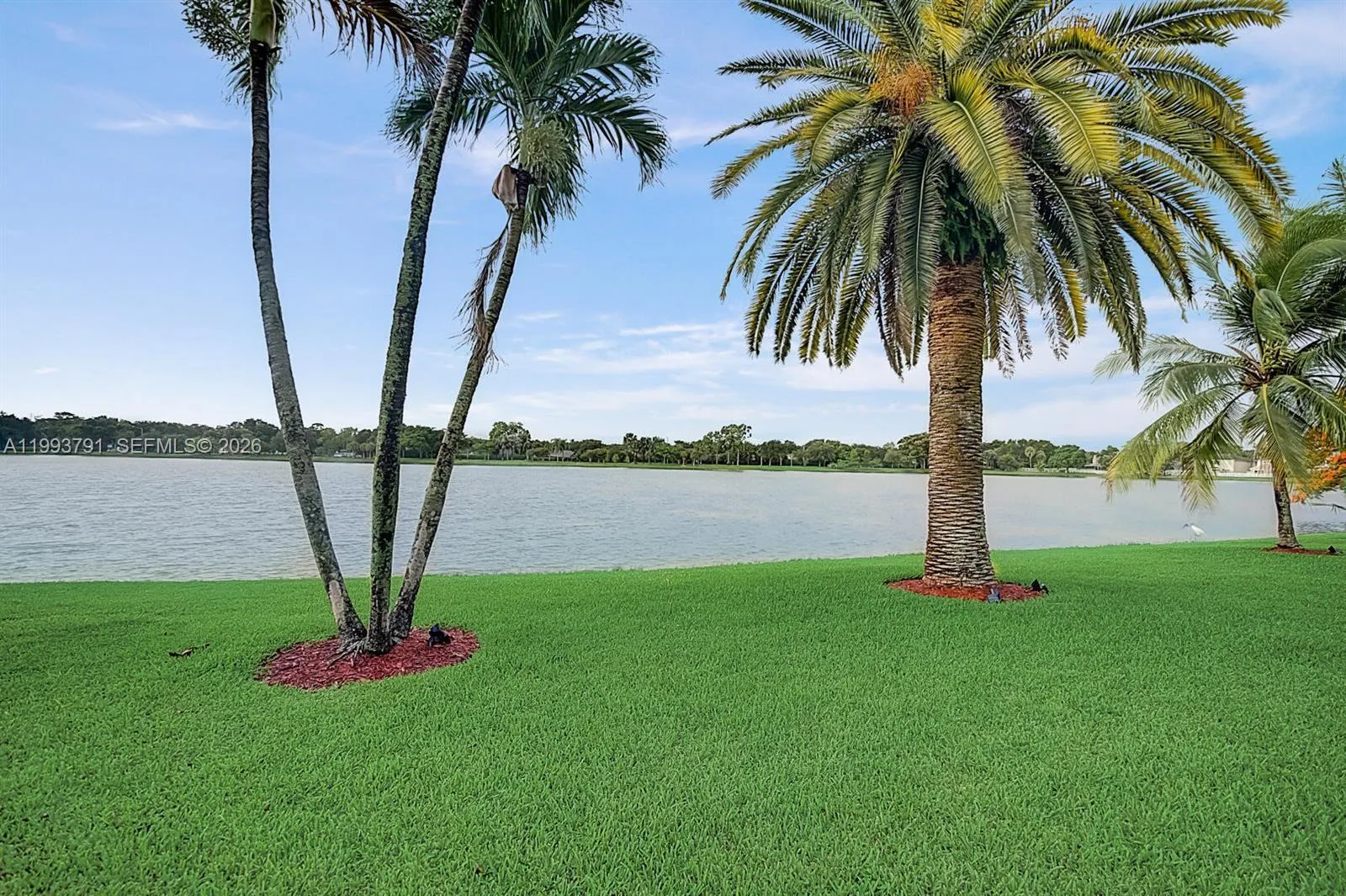 5204 Nw 54th St, Coconut Creek, Florida 33073, Coconut Creek, Florida 33073, 3 Bedrooms Bedrooms, ,2 BathroomsBathrooms,Residential Lease,For Rent,5204 Nw 54th St, Coconut Creek, Florida 33073,A11993791