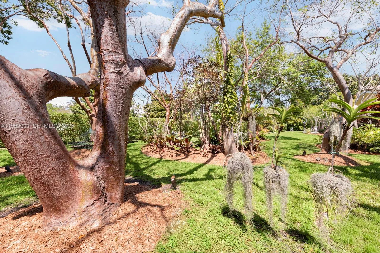 7751 Palmetto Ct, Pinecrest, Florida 33156, Pinecrest, Florida 33156, 5 Bedrooms Bedrooms, ,4 BathroomsBathrooms,Residential,For Sale,7751 Palmetto Ct, Pinecrest, Florida 33156,A11993900