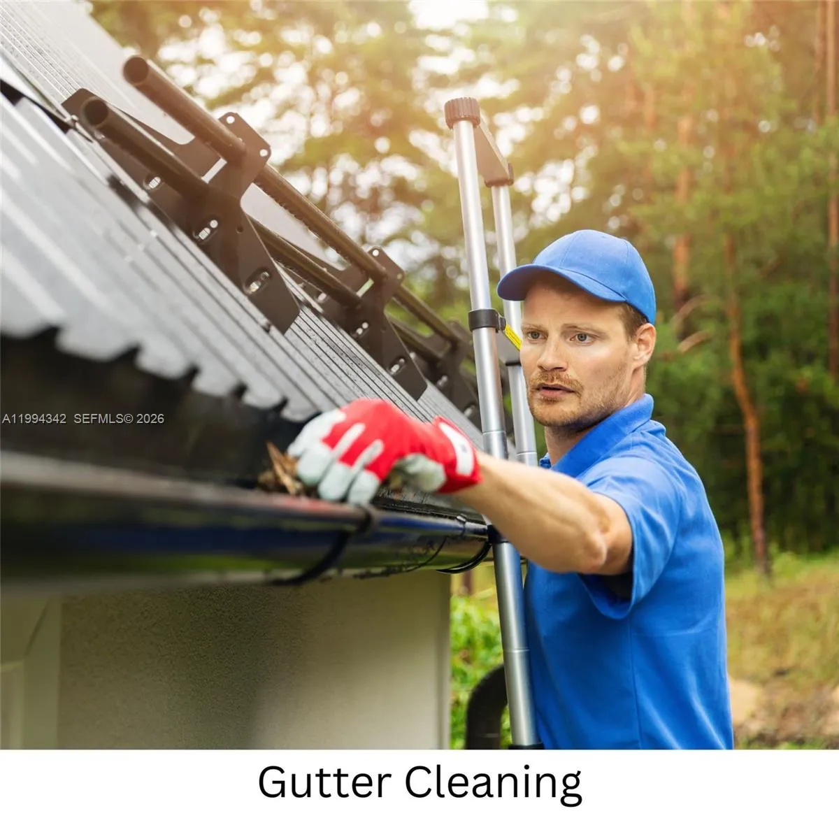 Doral, Florida 33166, ,Business Opportunity,For Sale,A11994342