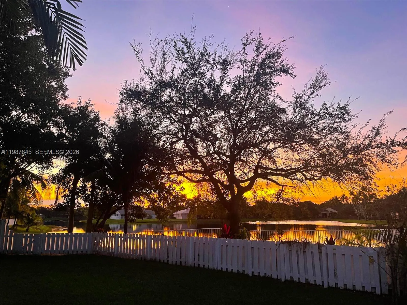 Sunrise View from Backyard