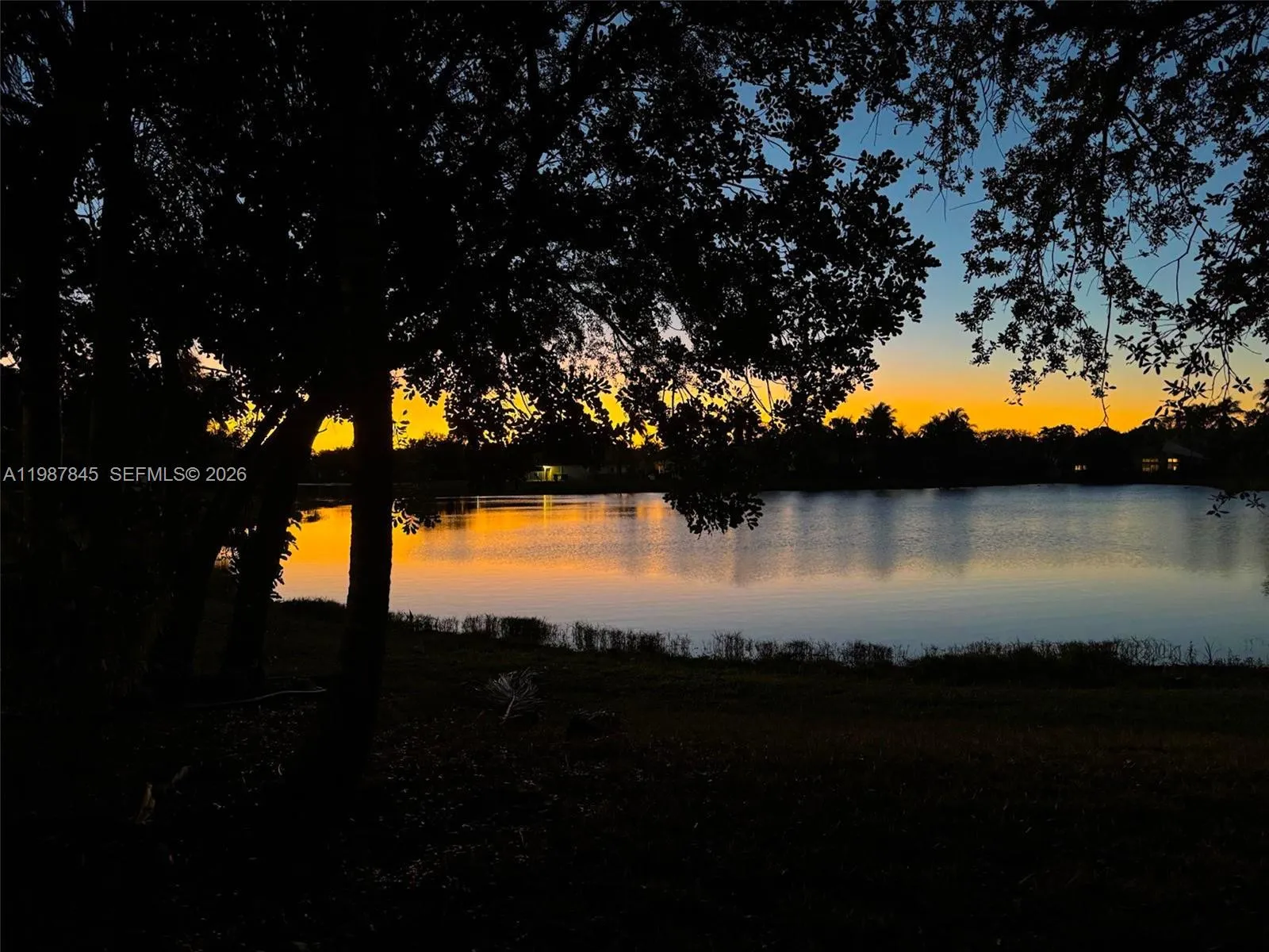 Sunrise View from Backyard