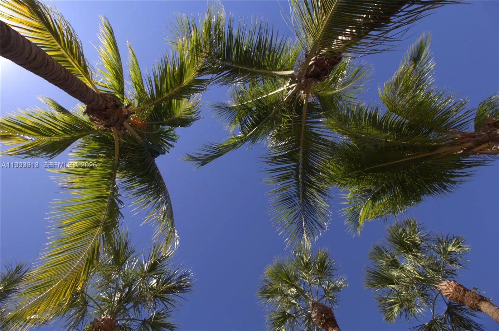 7155 Miami Lakes Dr P7, Miami Lakes, Florida 33014, Miami Lakes, Florida 33014, 1 Bedroom Bedrooms, ,1 BathroomBathrooms,Residential Lease,For Rent,7155 Miami Lakes Dr P7, Miami Lakes, Florida 33014,A11993613