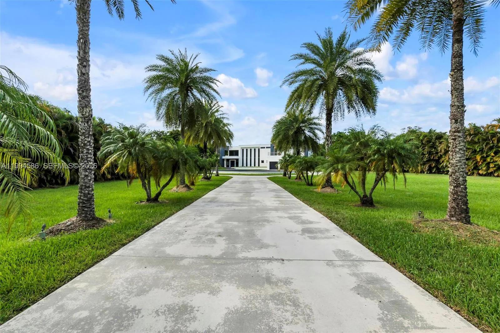 Entrance from main gate surrounded by palm trees