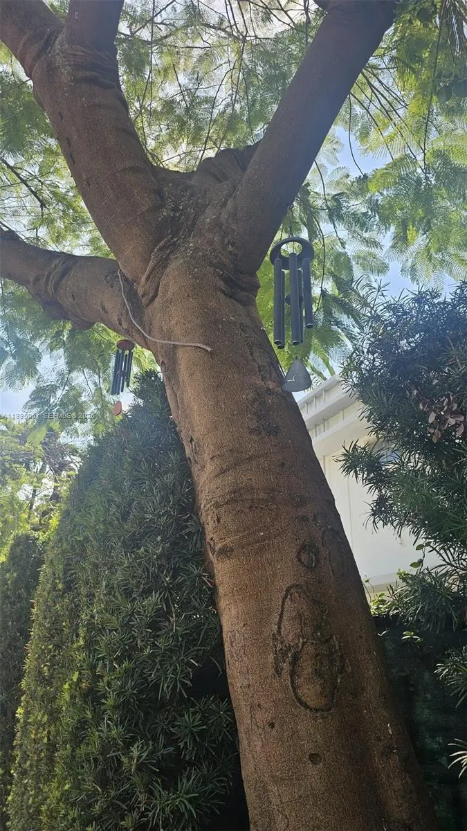 1616 Michigan Ave 11, Miami Beach, Florida 33139, Miami Beach, Florida 33139, ,1 BathroomBathrooms,Residential Lease,For Rent,1616 Michigan Ave 11, Miami Beach, Florida 33139,A11995061