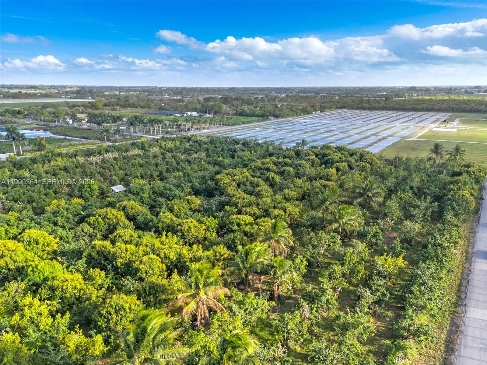 224st 202ave, Homestead, Florida 33170, Homestead, Florida 33170, ,Land,For Sale,224st 202ave, Homestead, Florida 33170,A11995364