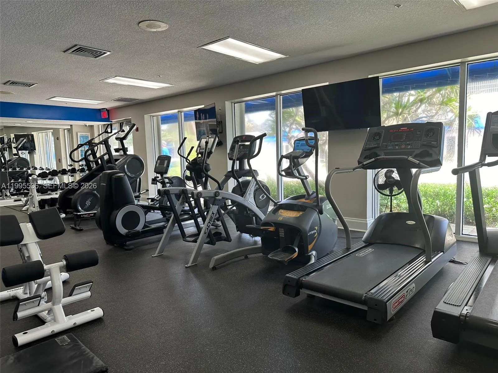 6001 N Ocean Dr 503, Hollywood, Florida 33019, Hollywood, Florida 33019, 2 Bedrooms Bedrooms, ,2 BathroomsBathrooms,Residential Lease,For Rent,6001 N Ocean Dr 503, Hollywood, Florida 33019,A11995536