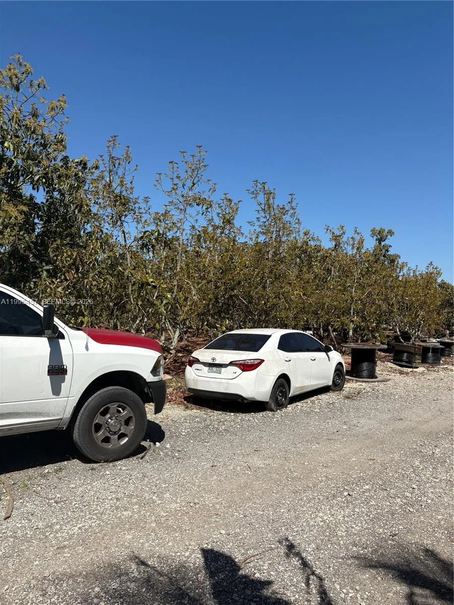 184xx Sw 207, Miami, Florida 33187, Miami, Florida 33187, ,Land,For Sale,184xx Sw 207, Miami, Florida 33187,A11995457