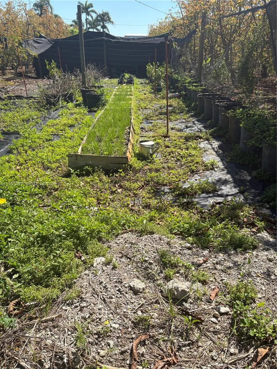 184xx Sw 207, Miami, Florida 33187, Miami, Florida 33187, ,Land,For Sale,184xx Sw 207, Miami, Florida 33187,A11995457