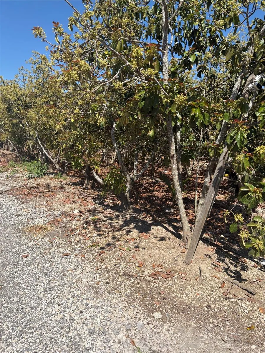 184xx Sw 207, Miami, Florida 33187, Miami, Florida 33187, ,Land,For Sale,184xx Sw 207, Miami, Florida 33187,A11995457
