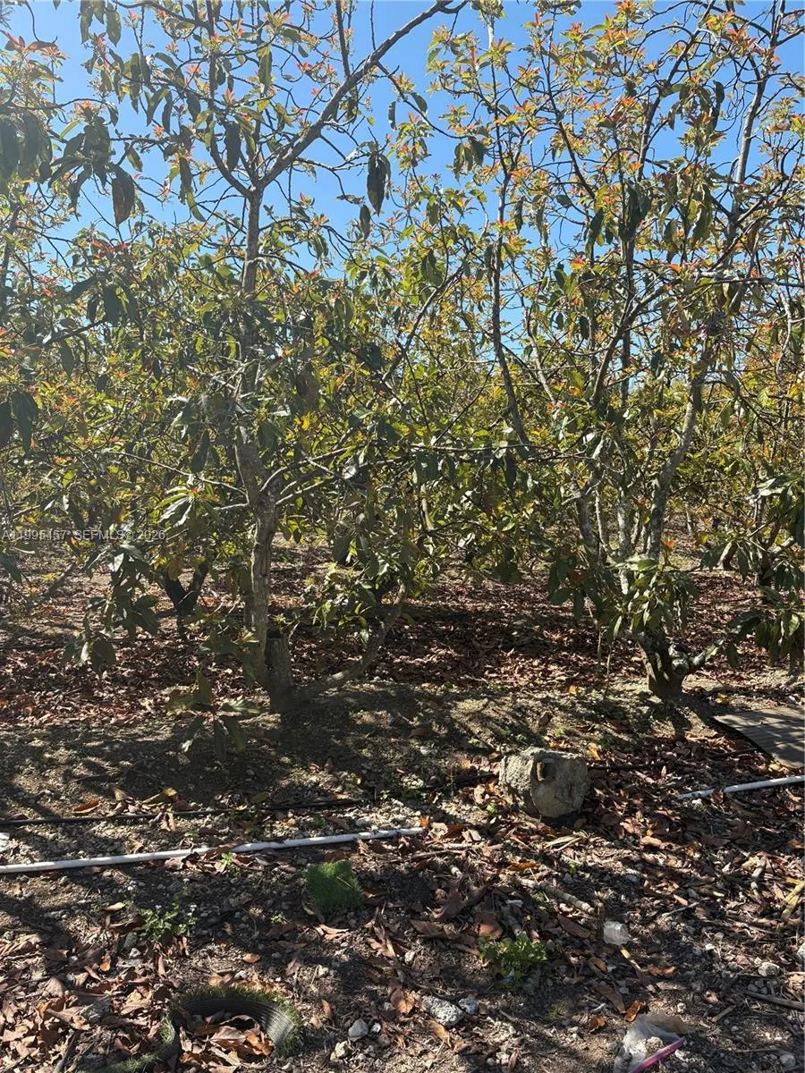 184xx Sw 207, Miami, Florida 33187, Miami, Florida 33187, ,Land,For Sale,184xx Sw 207, Miami, Florida 33187,A11995457