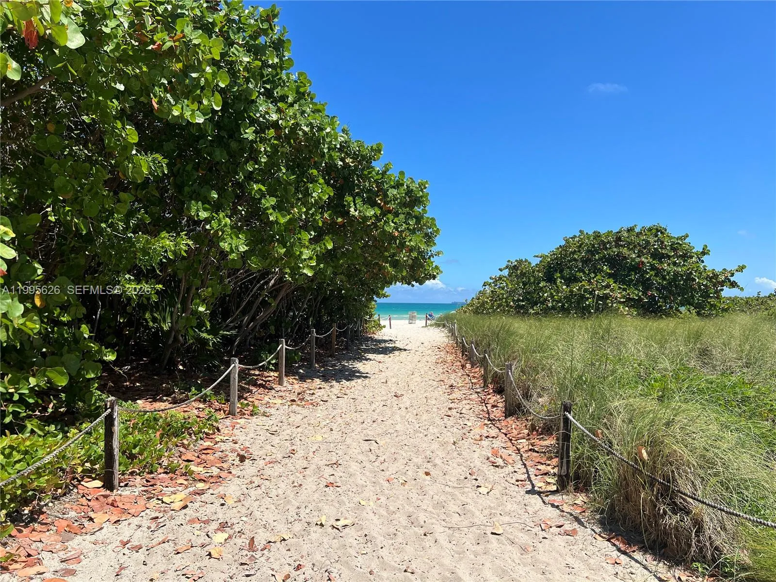 Two blocks away from the unit.