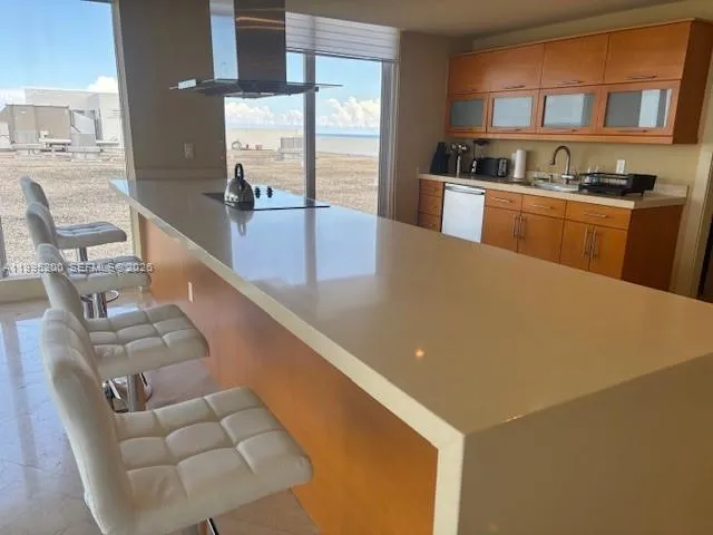 100 Lincoln Rd Ph4, Miami Beach, Florida 33139, Miami Beach, Florida 33139, 3 Bedrooms Bedrooms, ,3 BathroomsBathrooms,Residential,For Sale,100 Lincoln Rd Ph4, Miami Beach, Florida 33139,A11995200