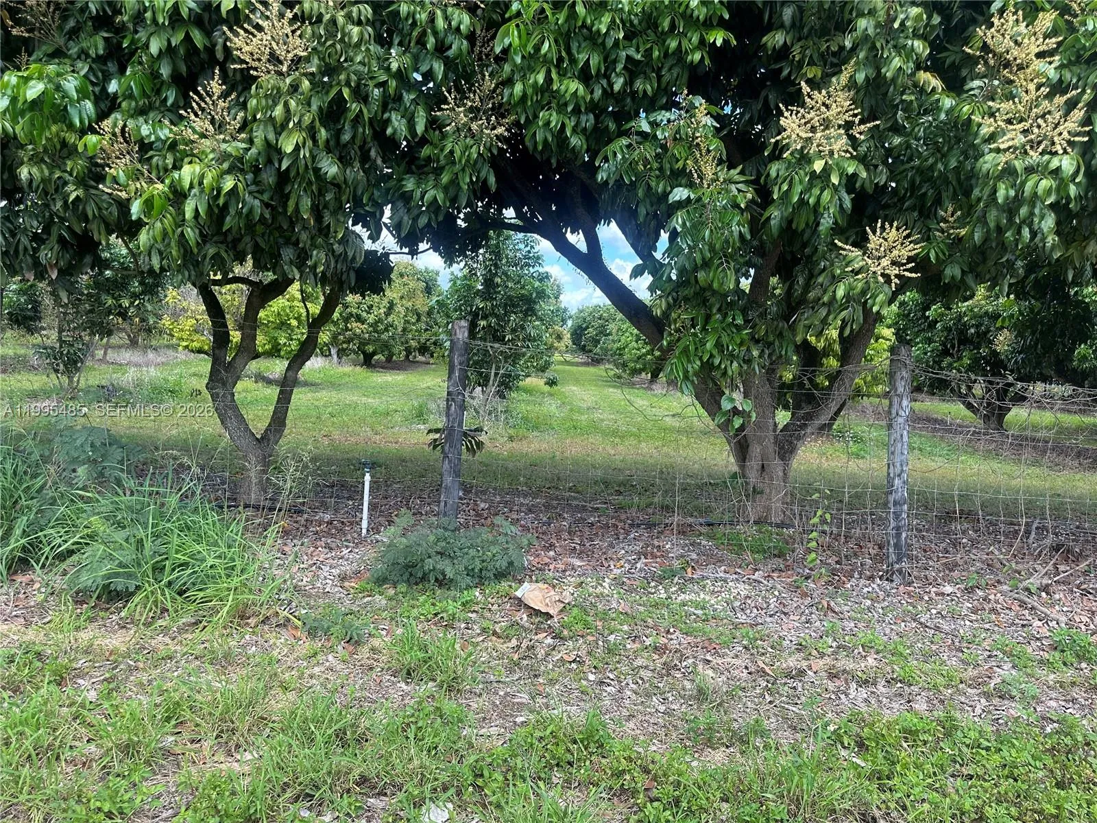 Sw 344 St., Homestead, Florida 33034, Homestead, Florida 33034, ,Land,For Sale,Sw 344 St., Homestead, Florida 33034,A11995485